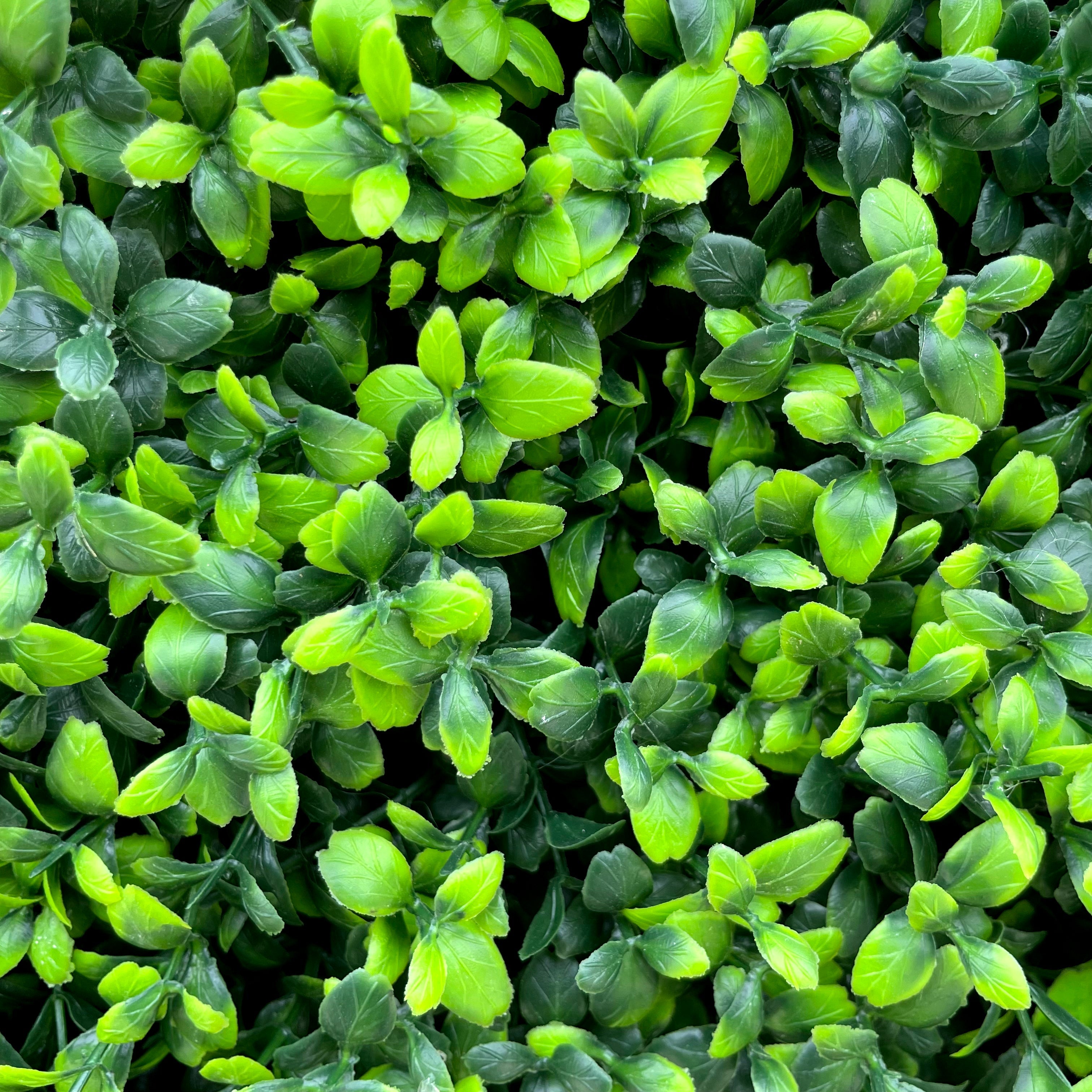Lucky: 2D Fabric Artificial Green Wall Rolling Up Curtain Green Wall R168 - 8ft*8ft Rose Morning