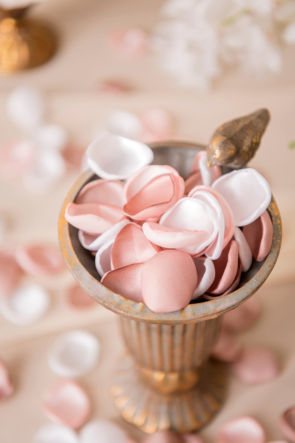 White Pink Flower Petals -R148 Rose Morning