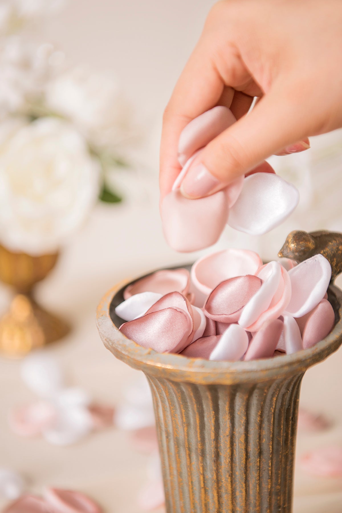 White Pink Flower Petals -R148 Rose Morning