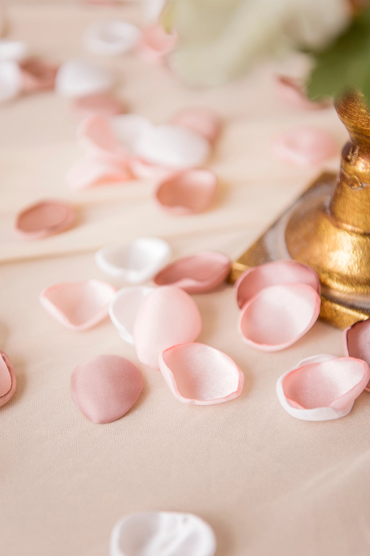 White Pink Flower Petals -R148 Rose Morning