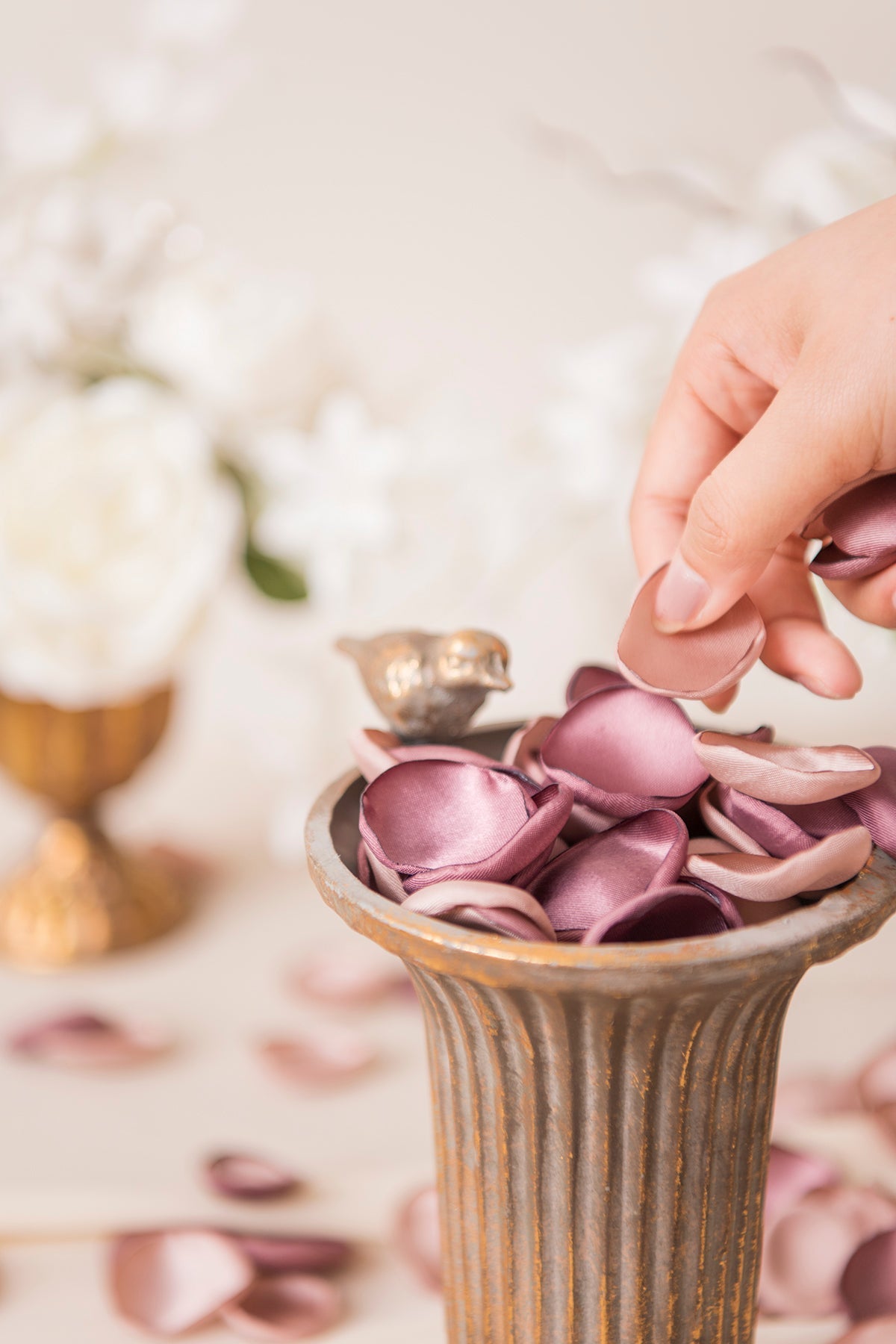 Taro Color Flower Petals -R147 Rose Morning