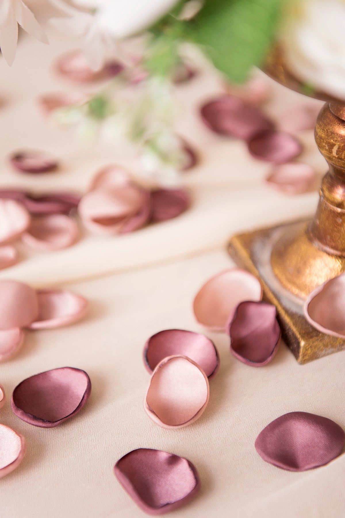 Taro Color Flower Petals -R147 Rose Morning