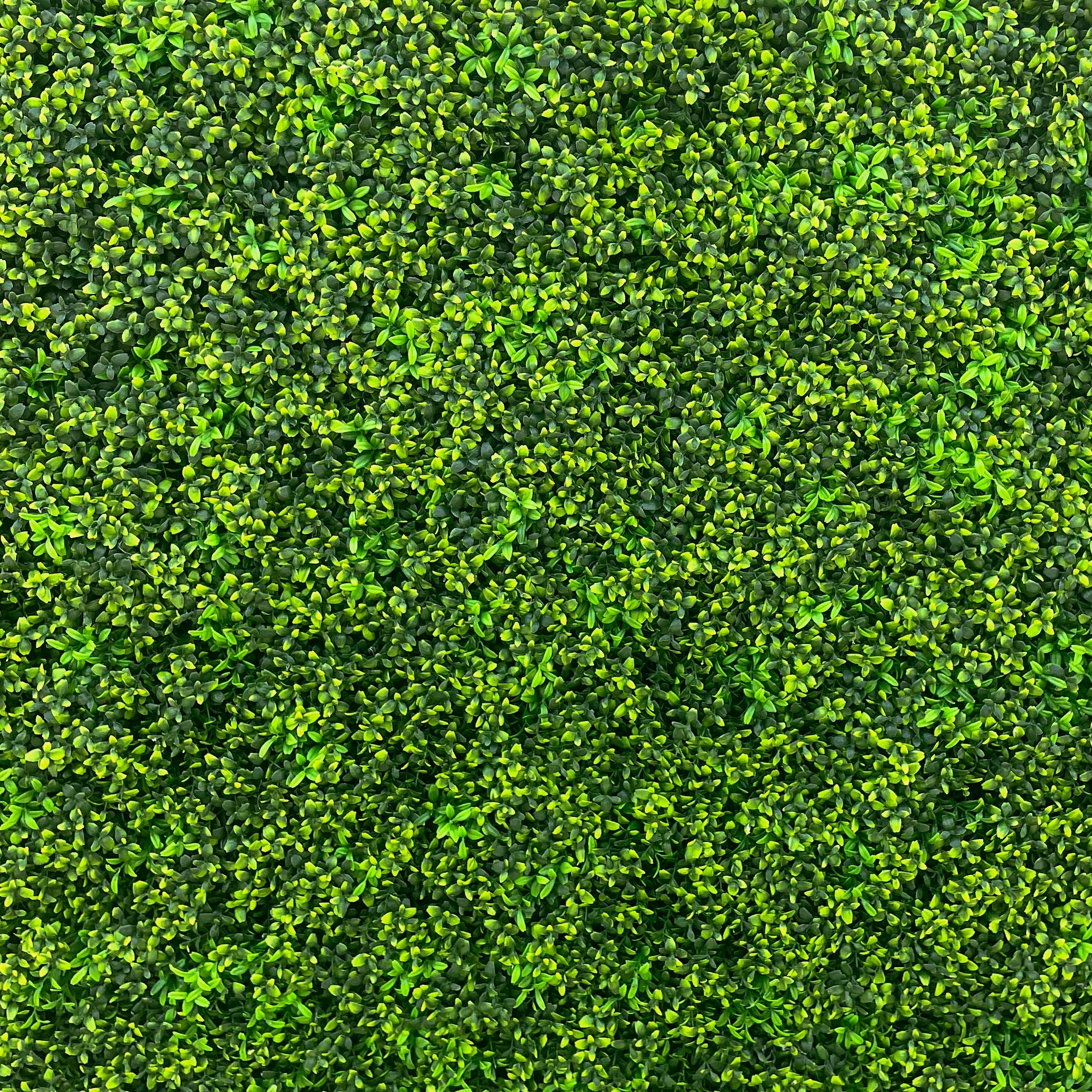 Lucky: 2D Fabric Artificial Green Wall Rolling Up Curtain Green Wall R168 - 8ft*8ft Rose Morning