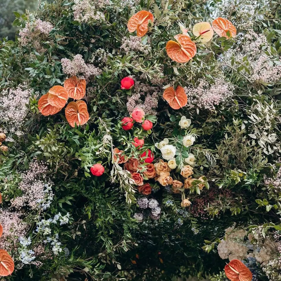Ndia : New Wedding Party Background Floral Arch Decoration Rose Morning