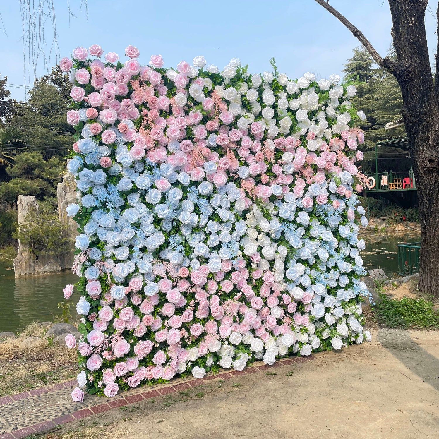Hope:5D Fabric Artificial rolling up curtain flower wall Rose Morning