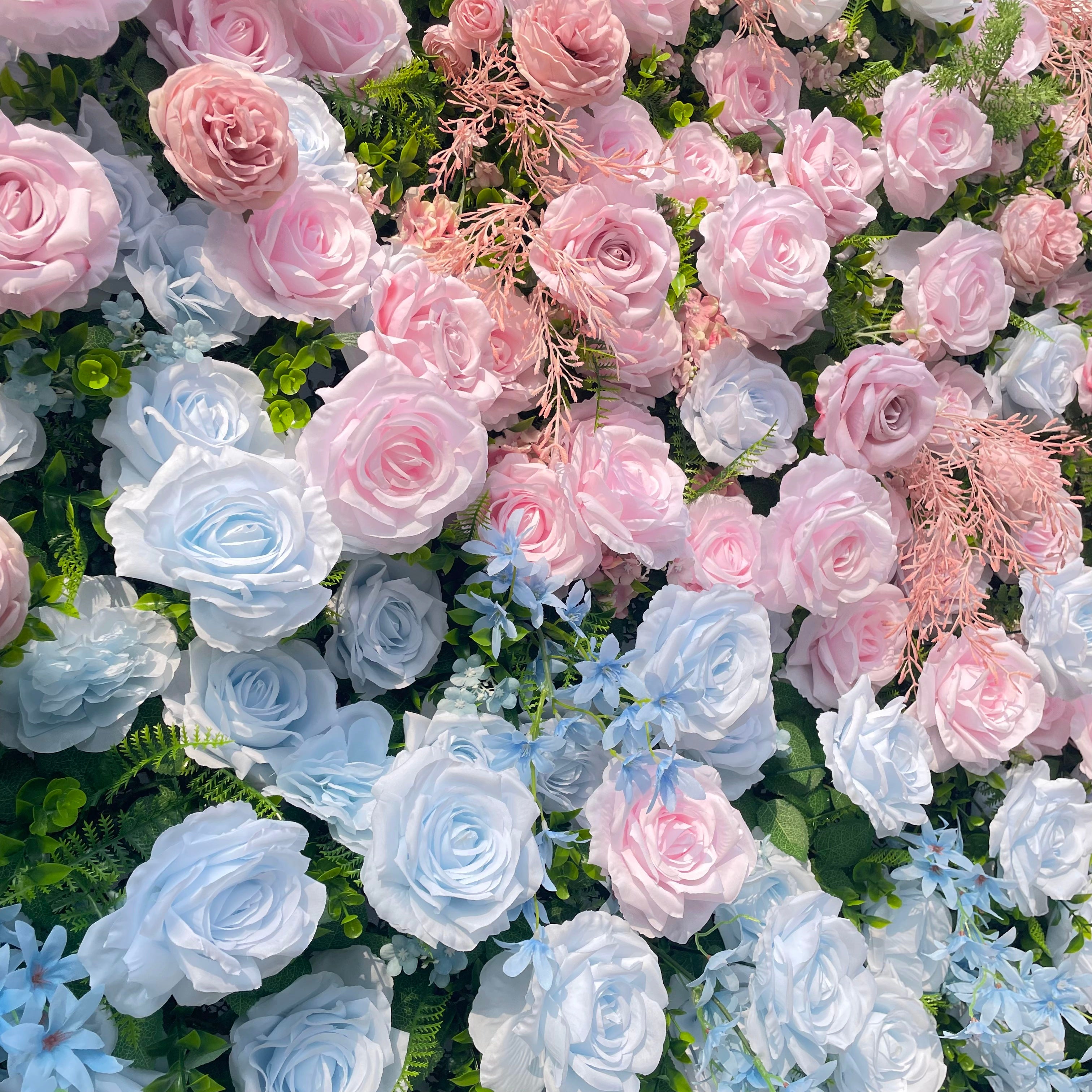 Hope:5D Fabric Artificial rolling up curtain flower wall Rose Morning