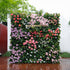 Vonnie:5D Fabric Artificial rolling up curtain flower wall Rose Morning