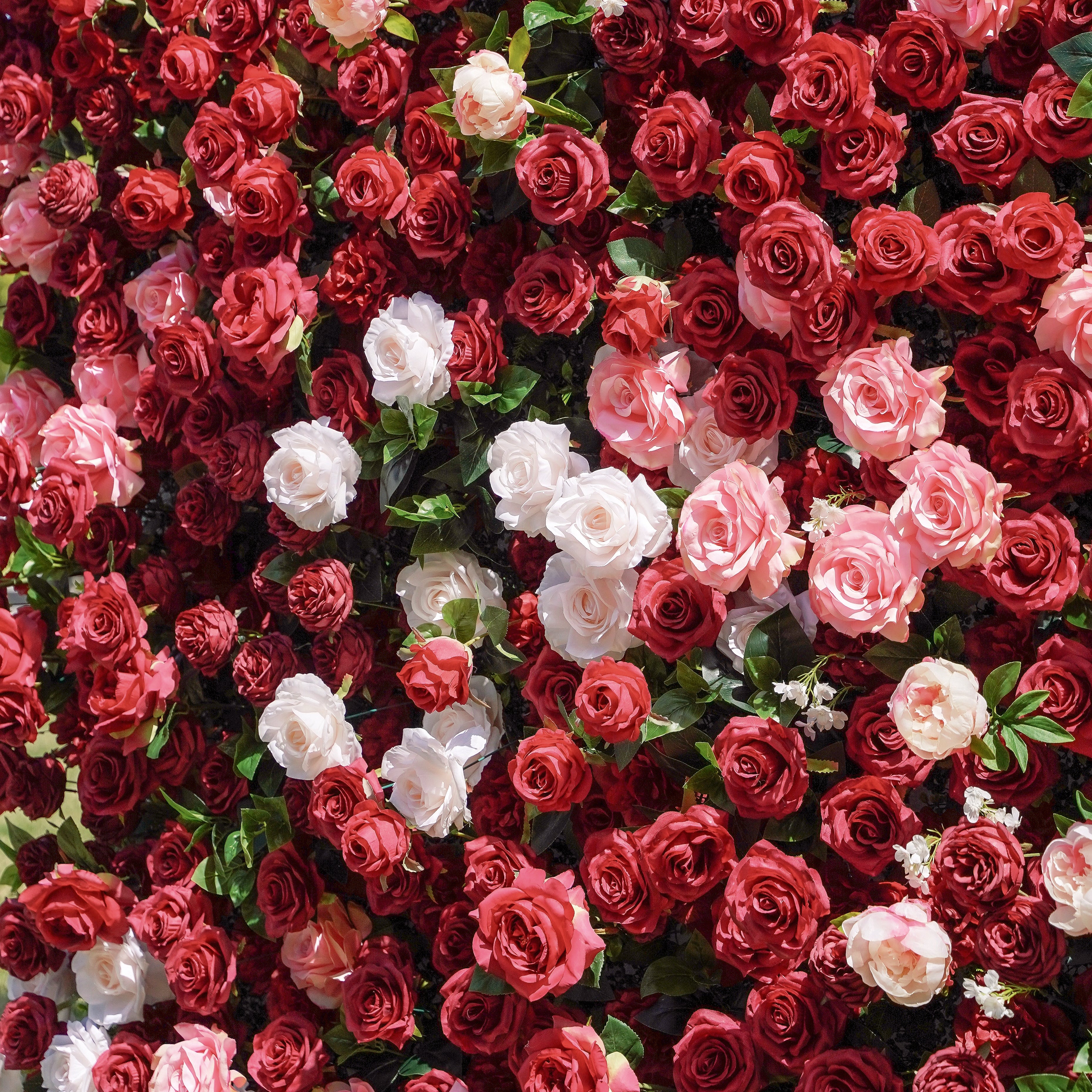 Zita:5D Fabric Artificial rolling up curtain flower wall Rose Morning
