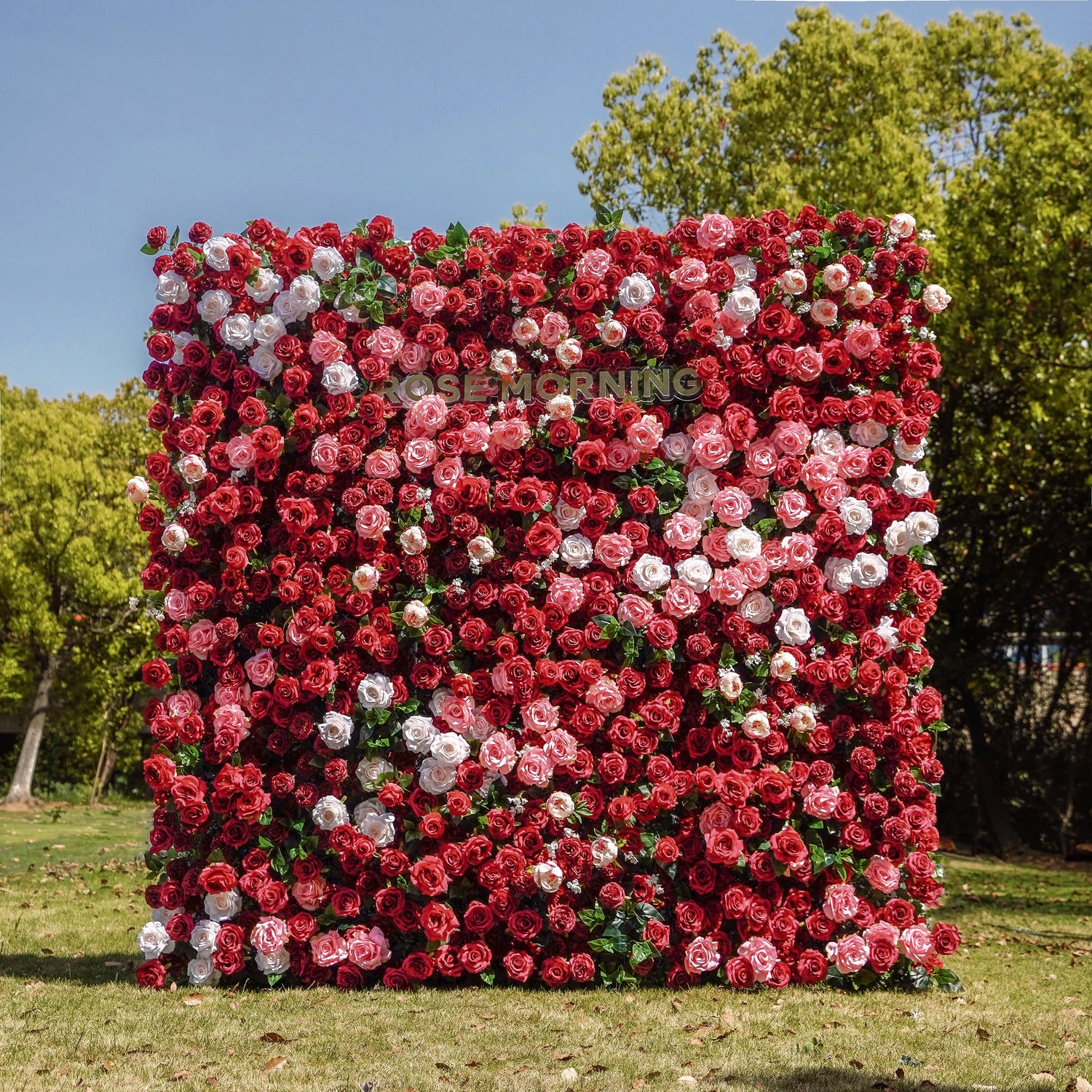 Zita:5D Fabric Artificial rolling up curtain flower wall Rose Morning