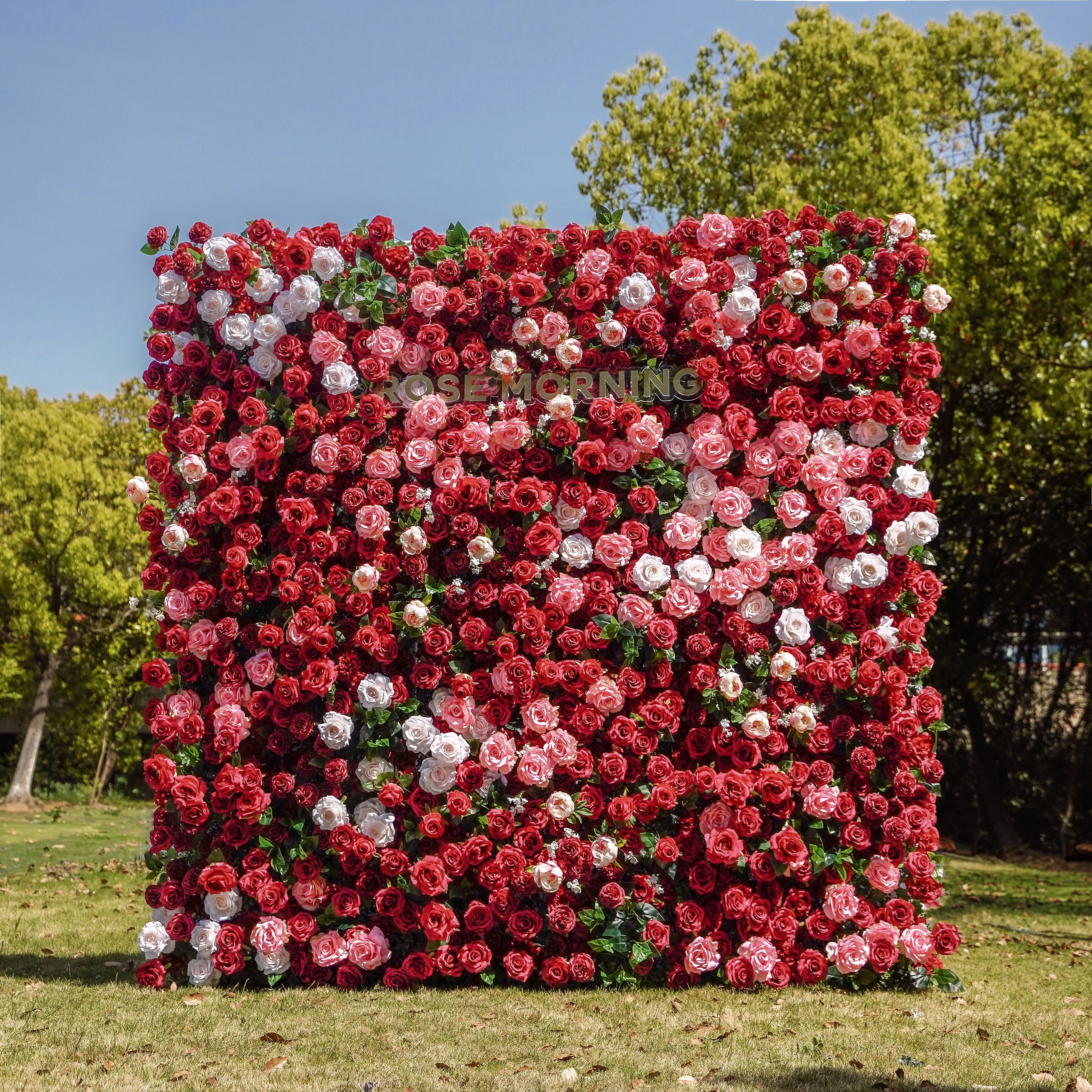 Zita:5D Fabric Artificial rolling up curtain flower wall Rose Morning