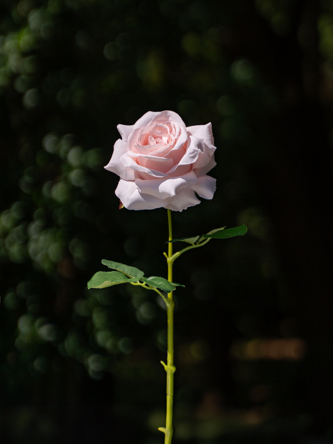 Curled Rose (Nude Pink)-19" Tall