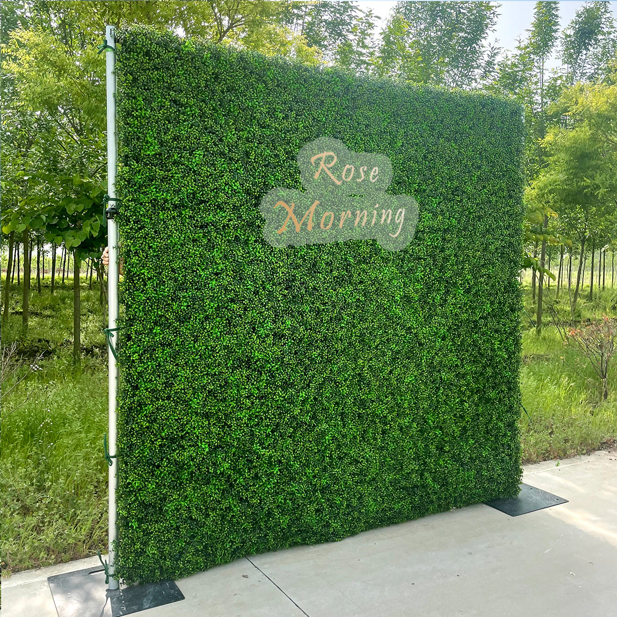 Lucky: 2D Fabric Artificial Green Wall Rolling Up Curtain Green Wall R168 - 8ft*8ft Rose Morning