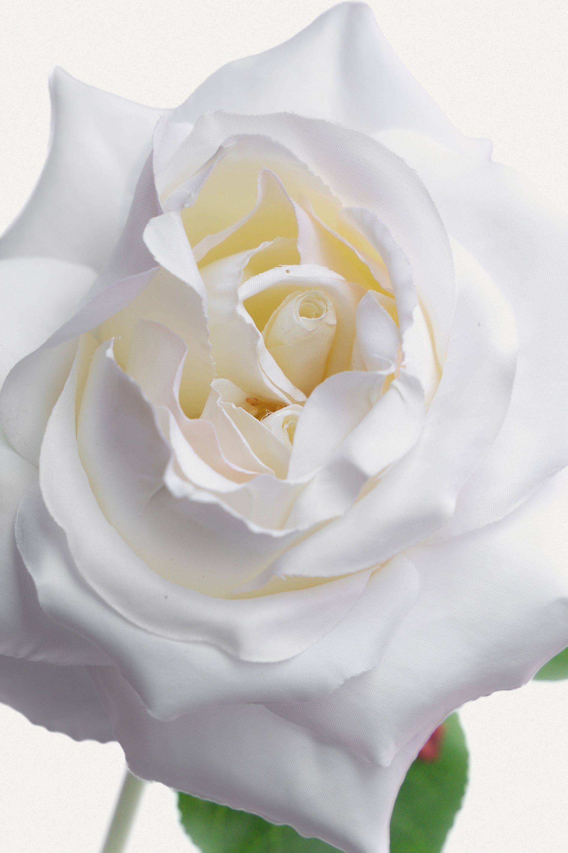 Double Core Garden Rose (White)-11.2" Tall