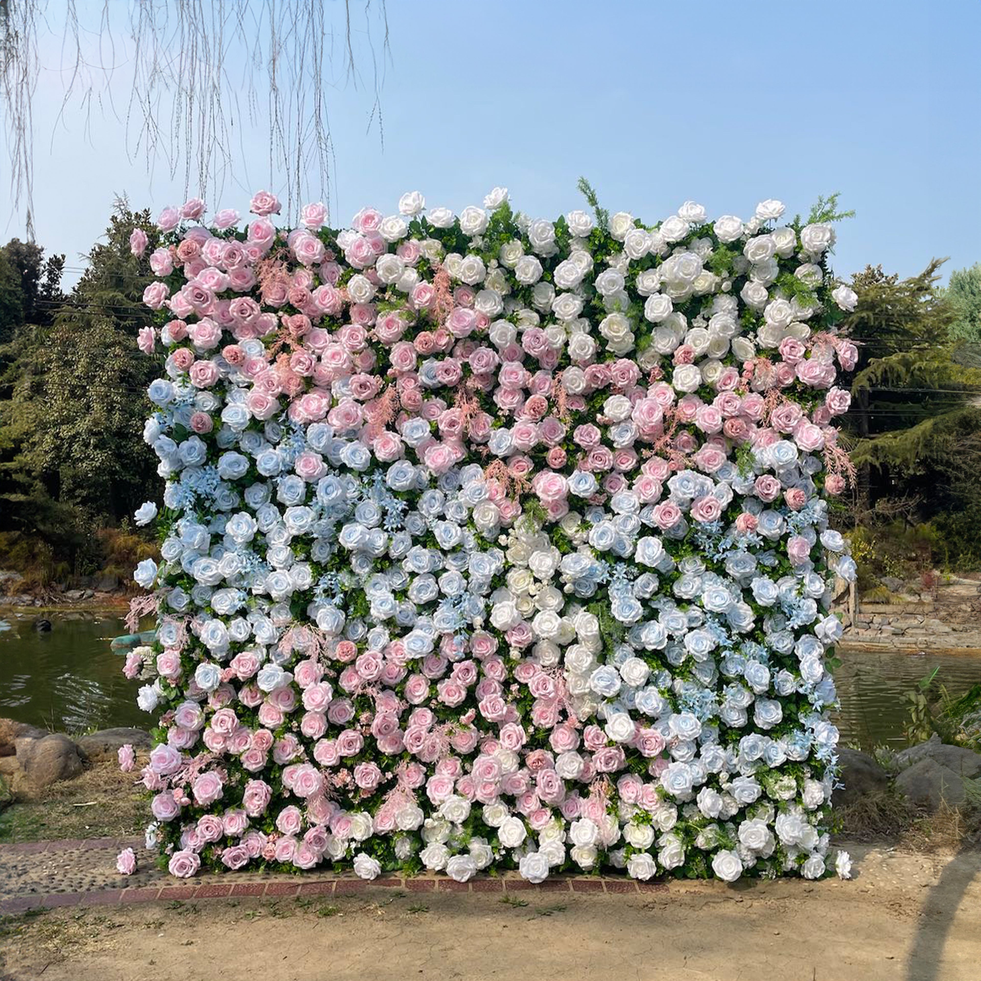 Hope:5D Fabric Artificial rolling up curtain flower wall Rose Morning