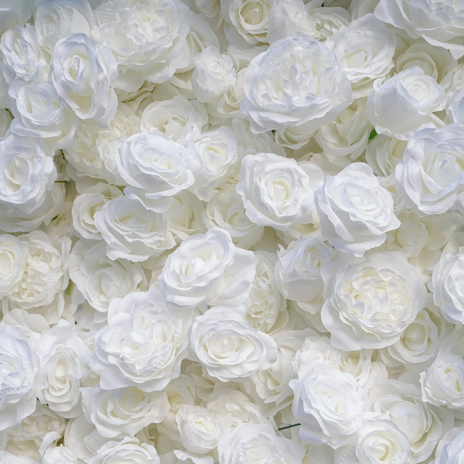 Angel:5D Fabric Artificial rolling up curtain flower wall