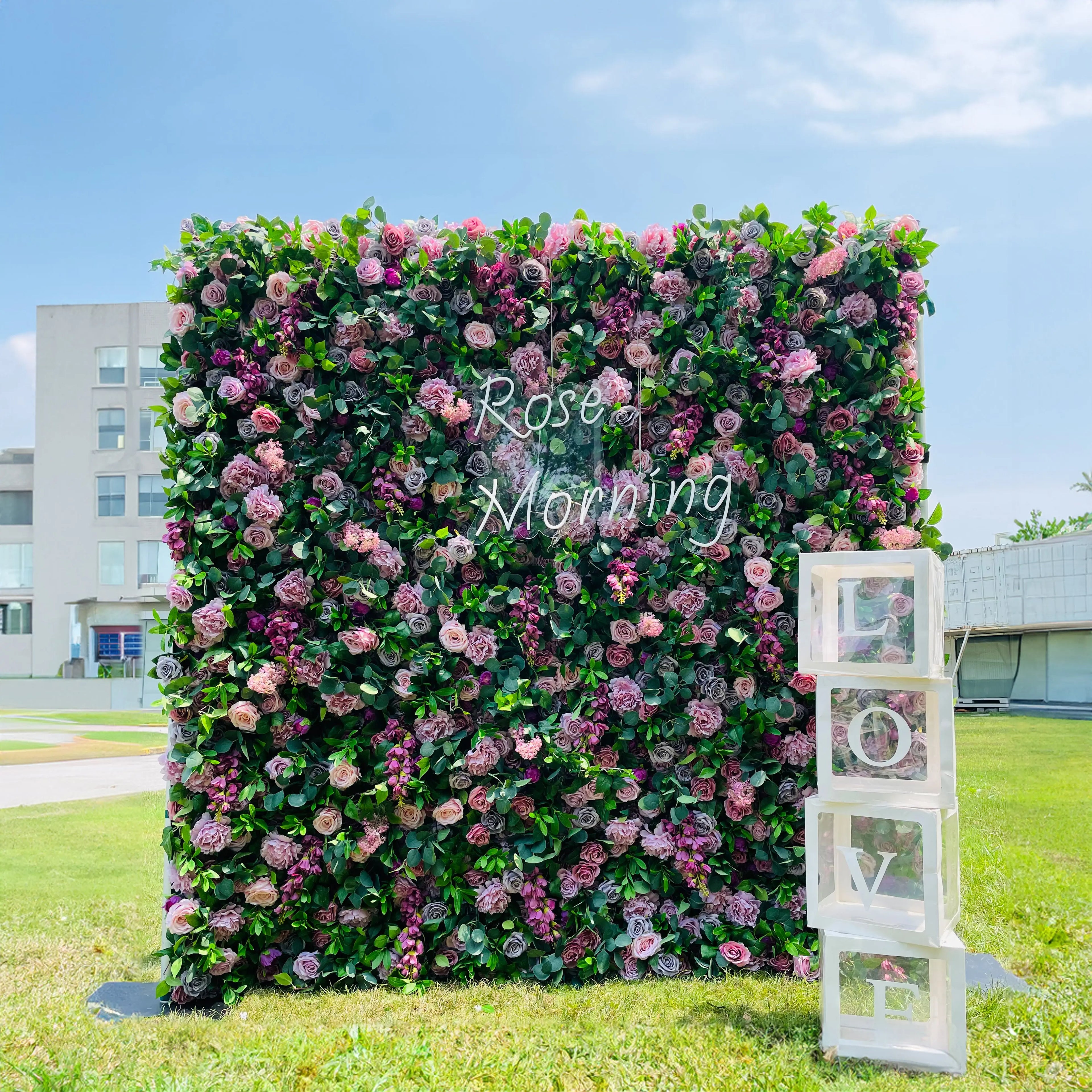 Autumn:5D Fabric Artificial rolling up curtain flower wall Rose Morning
