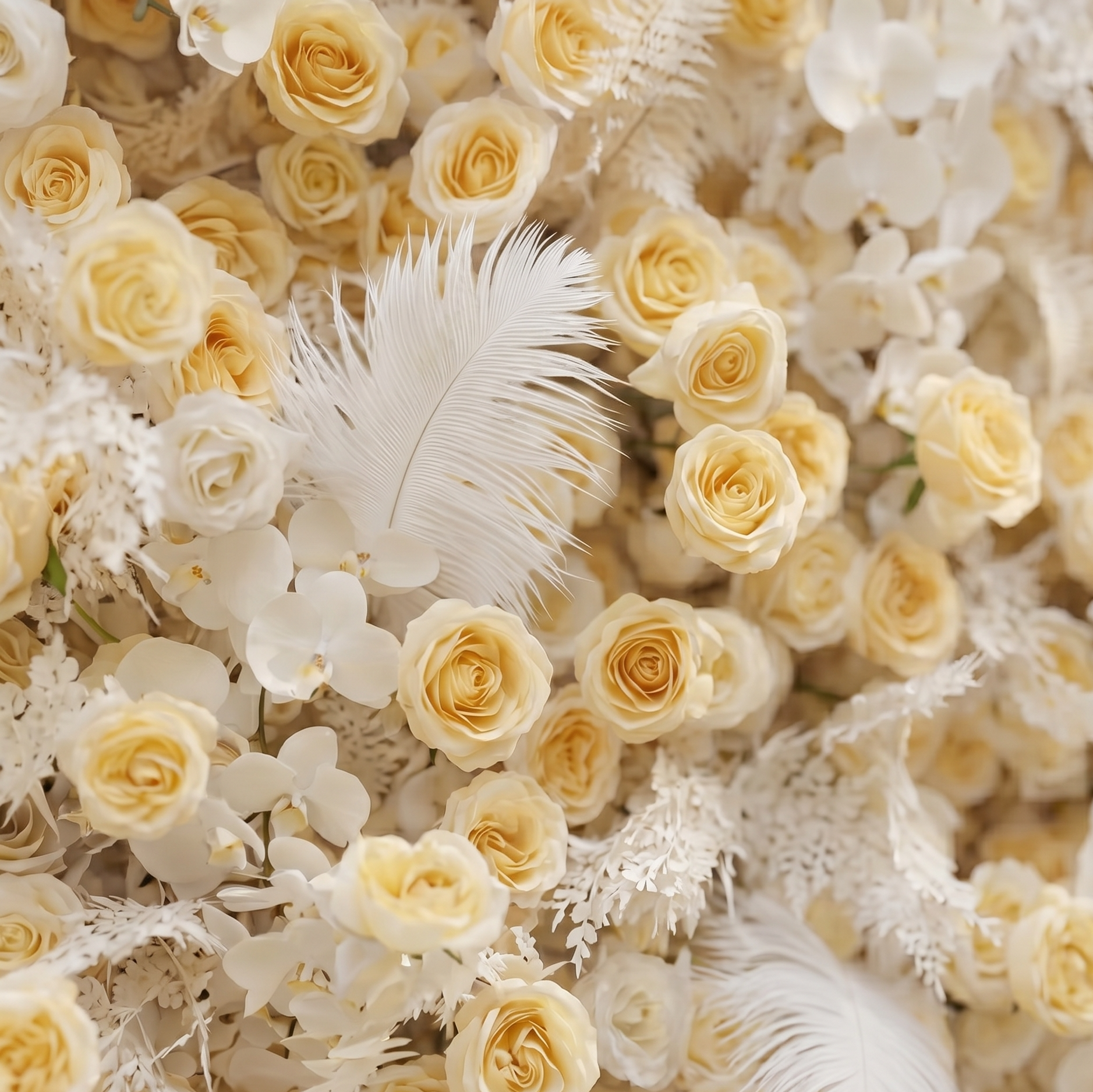 Caelsira: Luxury 5D Champagne & Cream Silk Rose Flower Wall Roll-Up Fabric Backdrop for Grand Estate Weddings