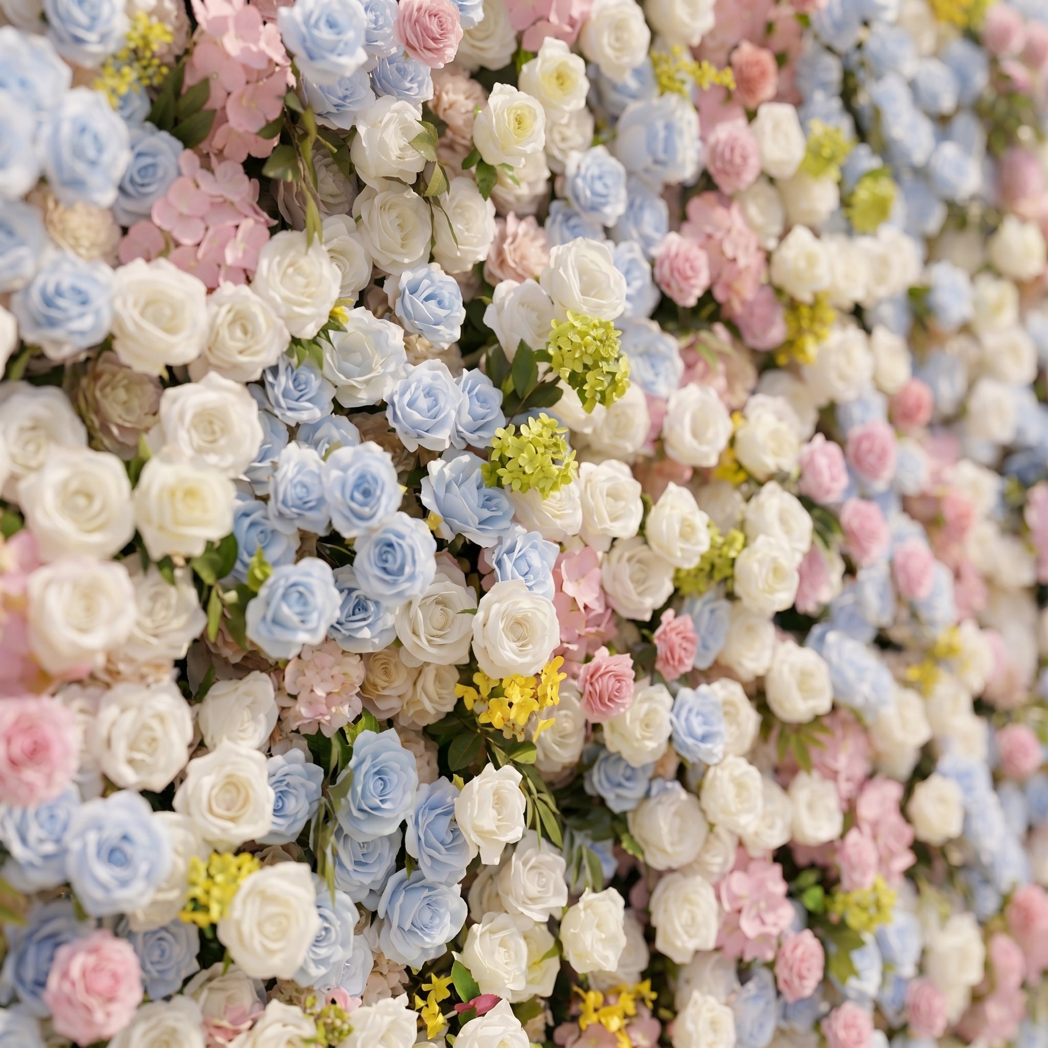 Calora:5D Dusty Blue, Blush Pink & Ivory White Silk Rose Flower Wall Roll-Up Fabric Backdrop for Romantic Weddings & Proposals