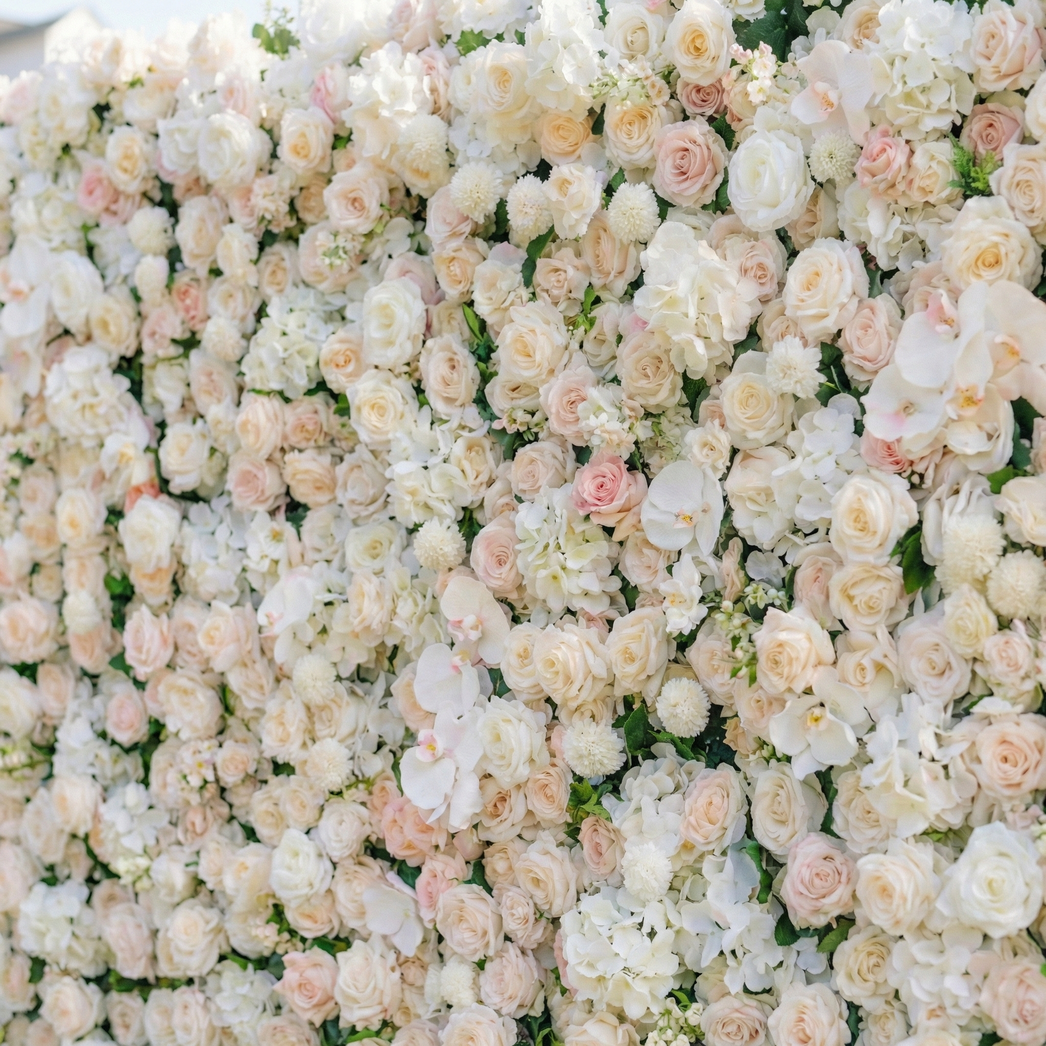 Casey: Premium 5D Soft Blush & White Silk Floral Wall Roll-Up Fabric Backdrop for Dreamy Garden Ceremonies & Elegant Wedding