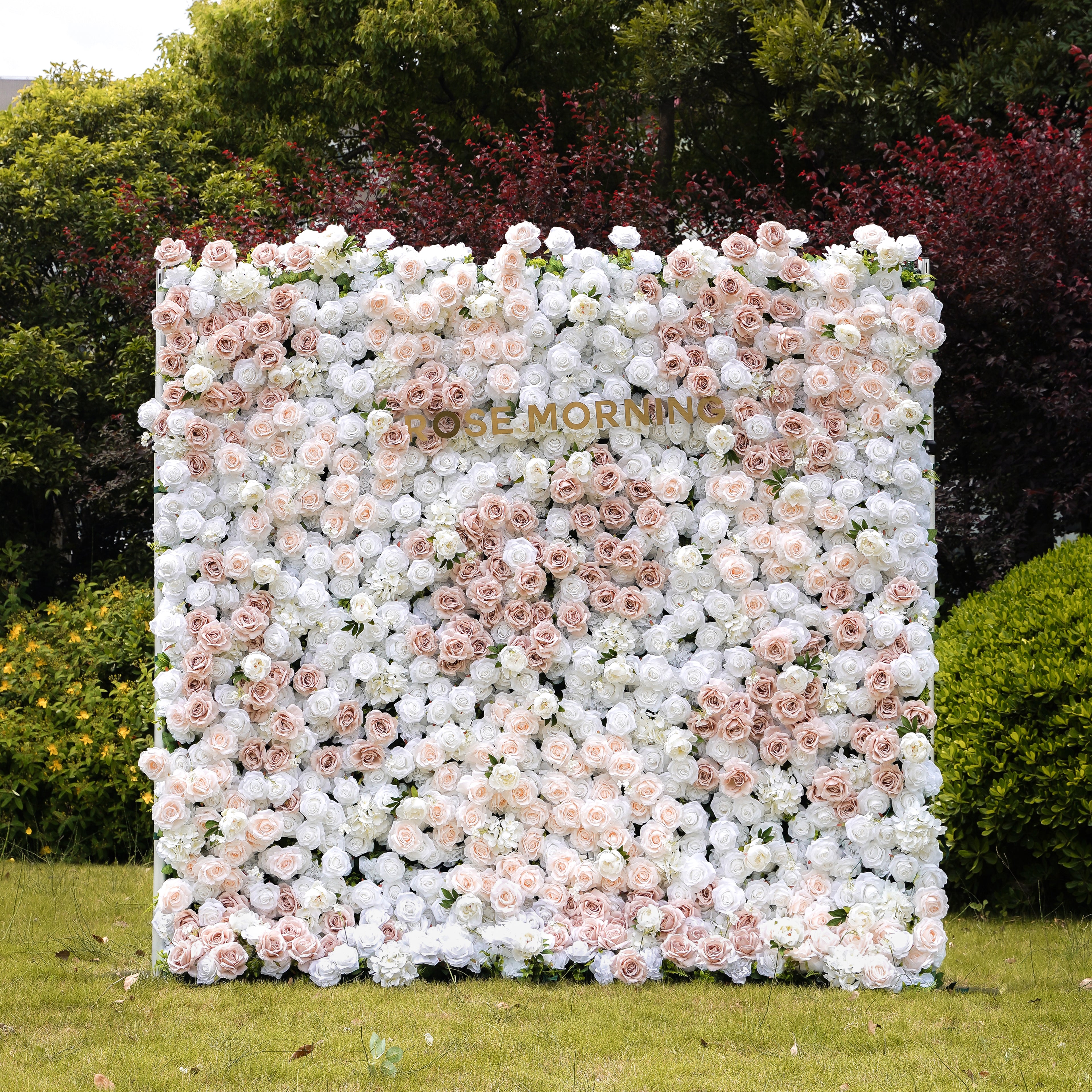 Corrine:5D Fabric Artificial rolling up curtain flower wall Rose Morning