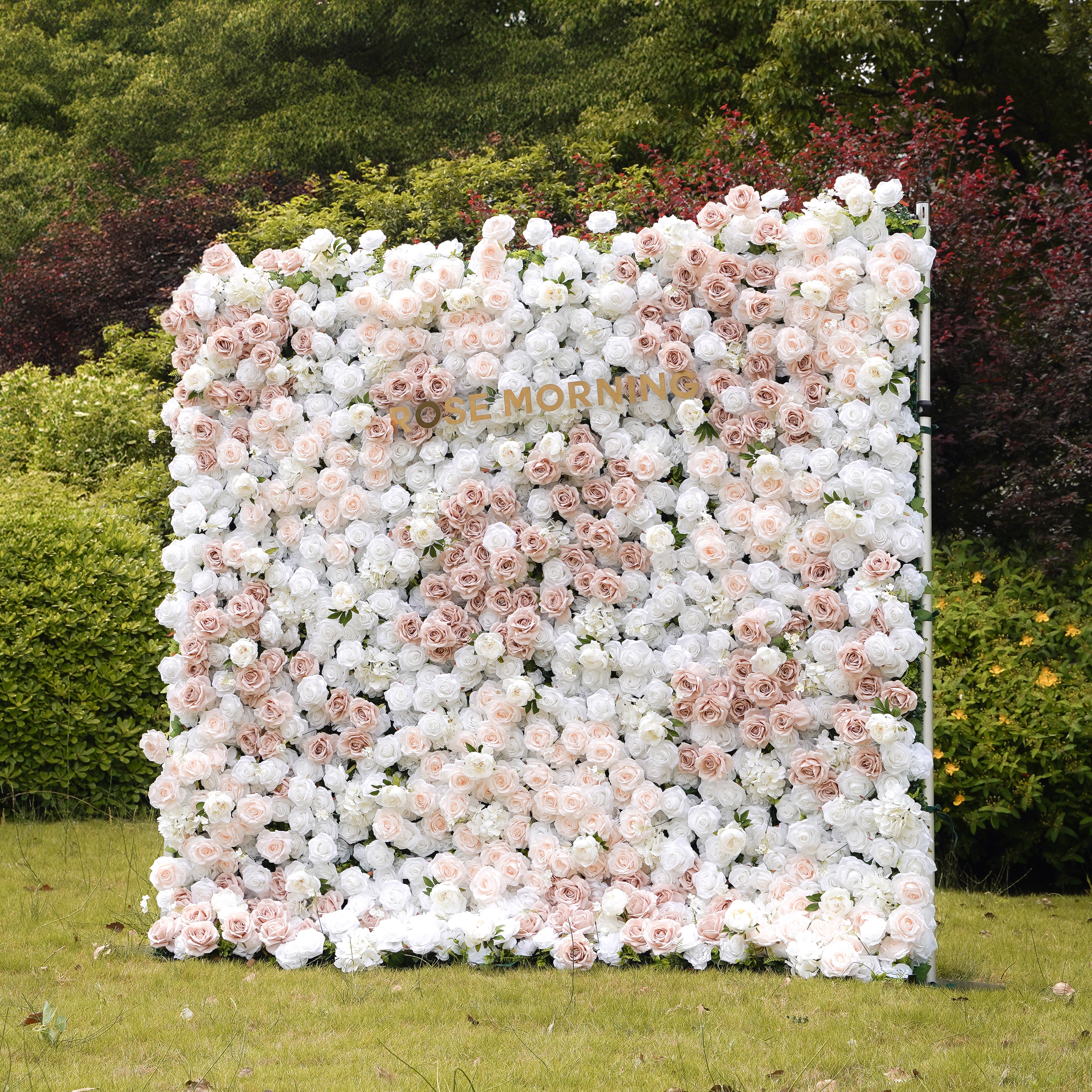 Corrine:5D Fabric Artificial rolling up curtain flower wall Rose Morning