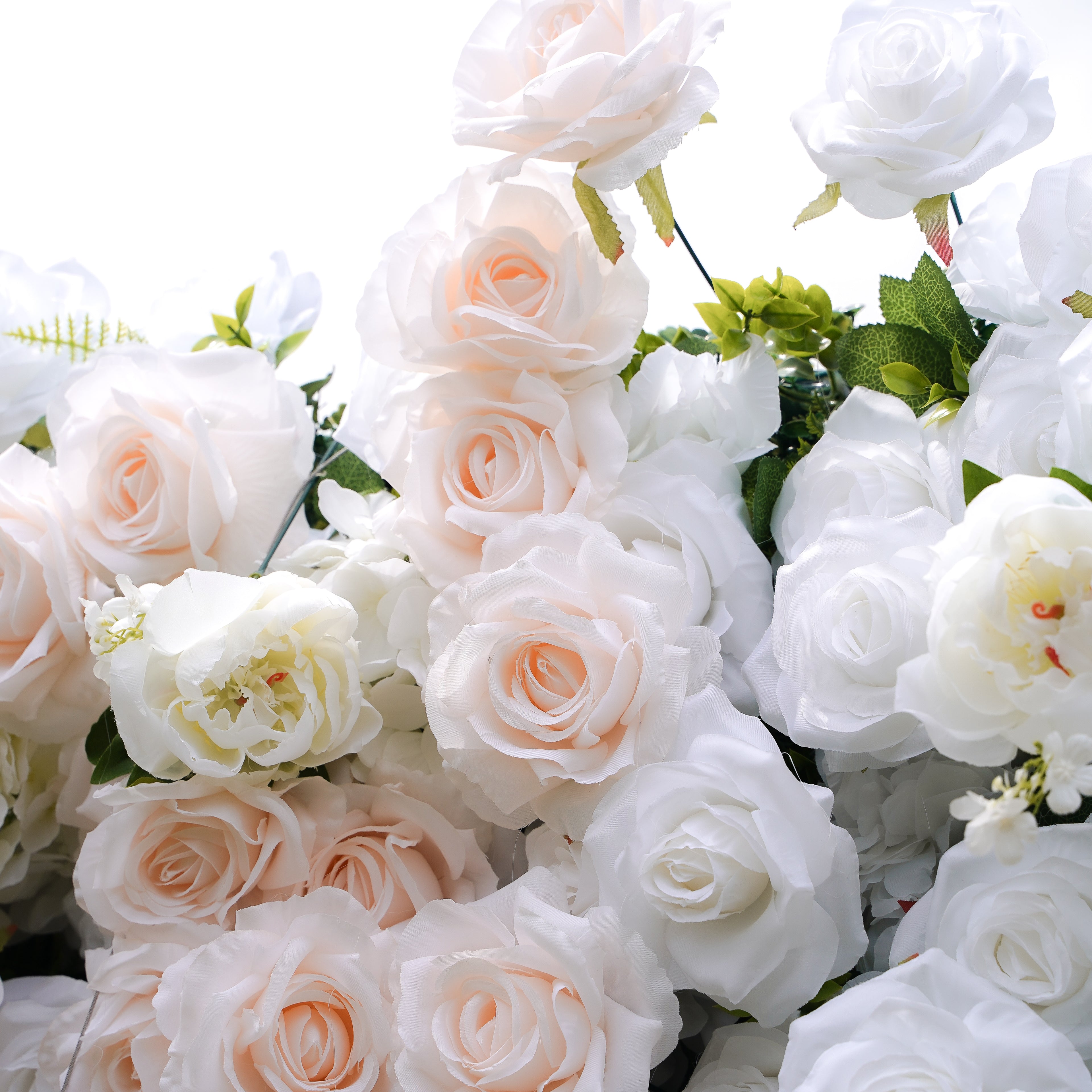 Corrine:5D Fabric Artificial rolling up curtain flower wall Rose Morning