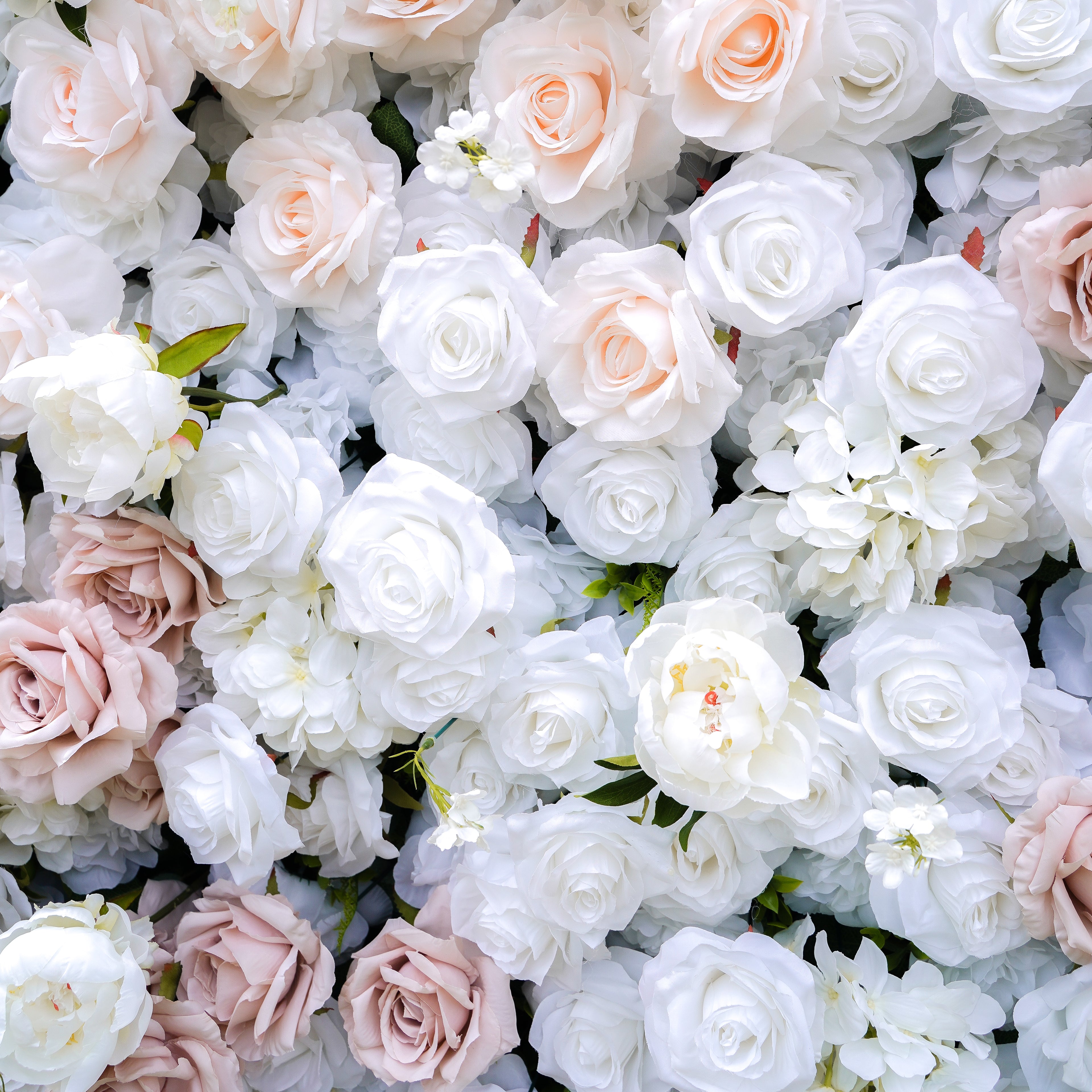 Corrine:5D Fabric Artificial rolling up curtain flower wall Rose Morning