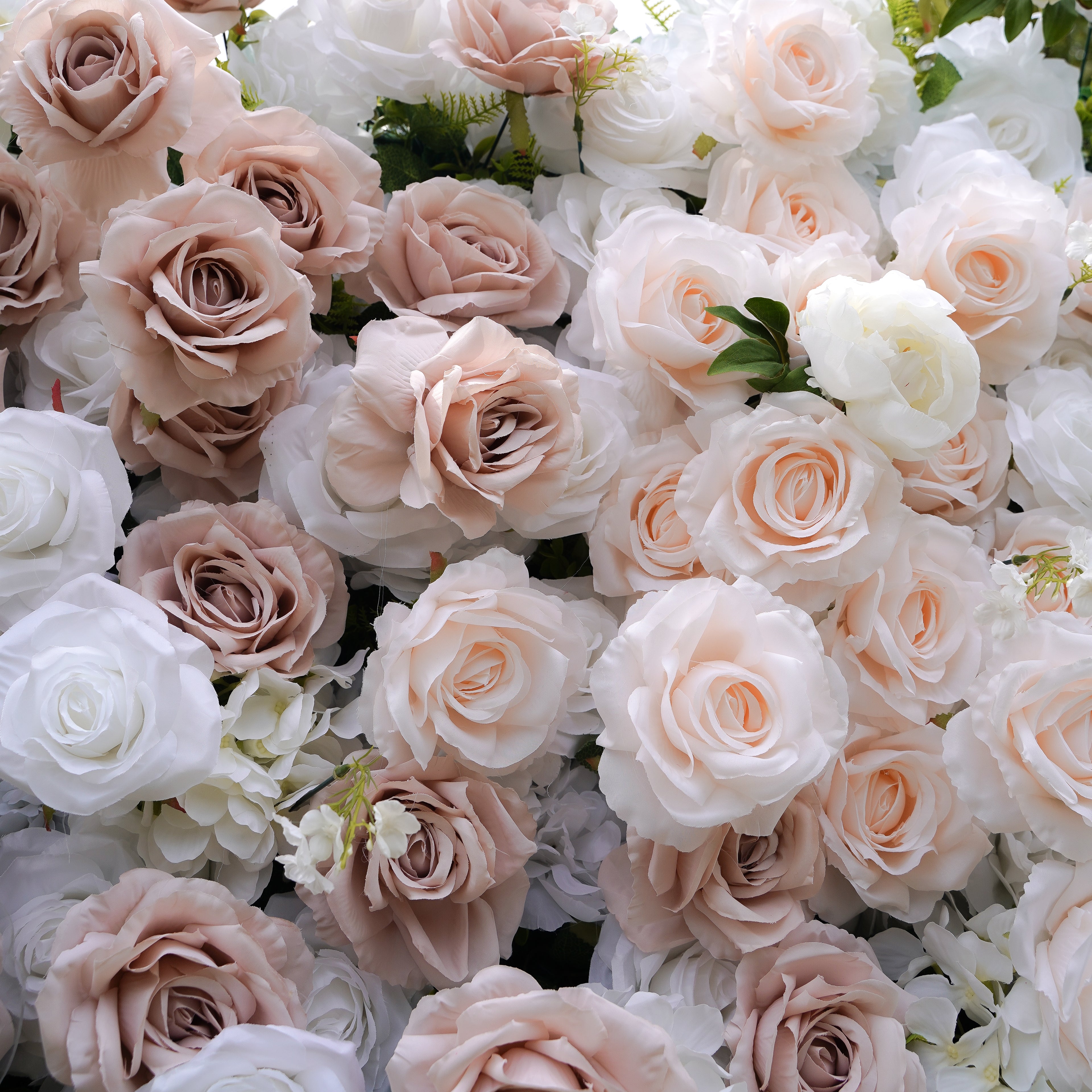 Corrine:5D Fabric Artificial rolling up curtain flower wall Rose Morning