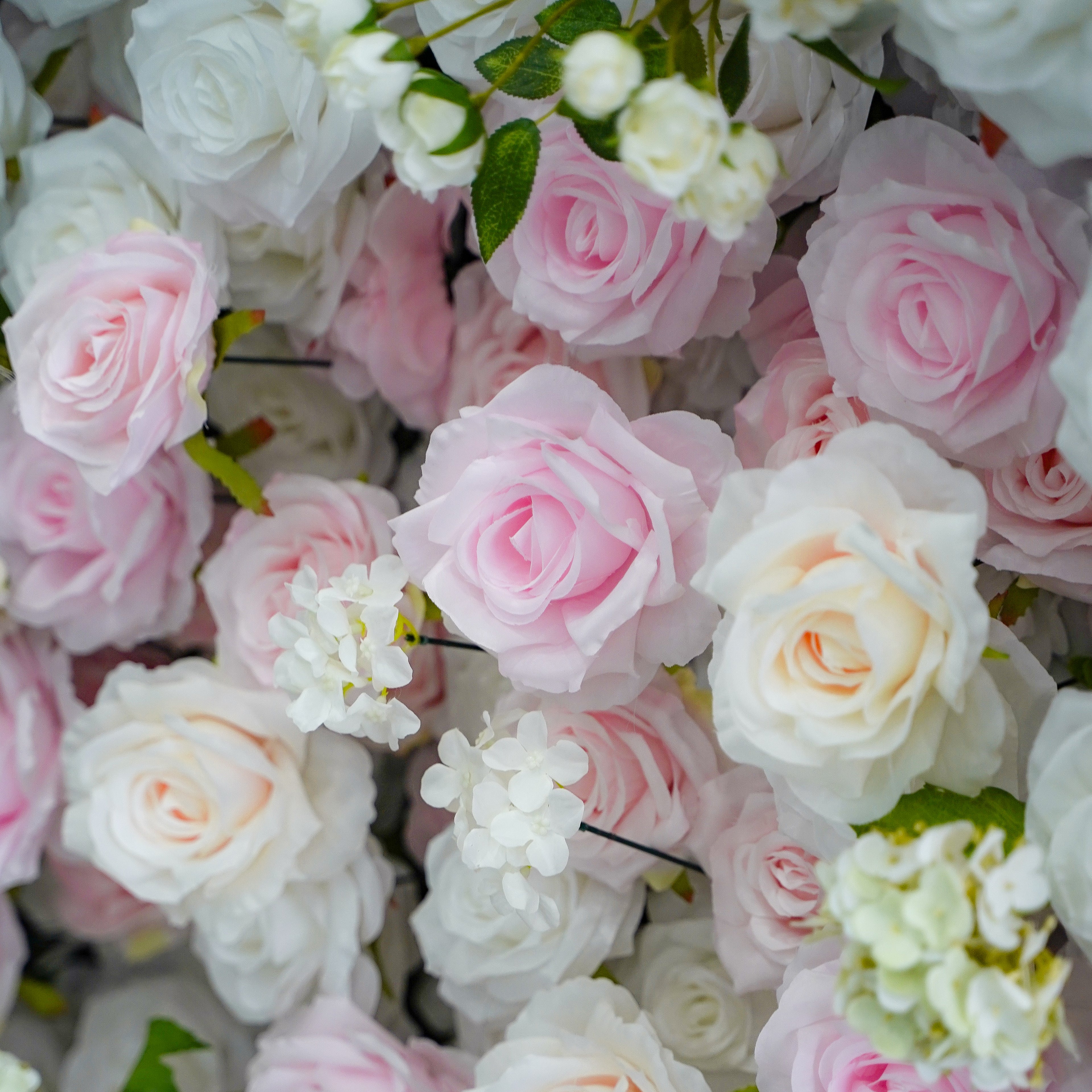 Leona:5D Fabric Artificial rolling up curtain flower wall Rose Morning