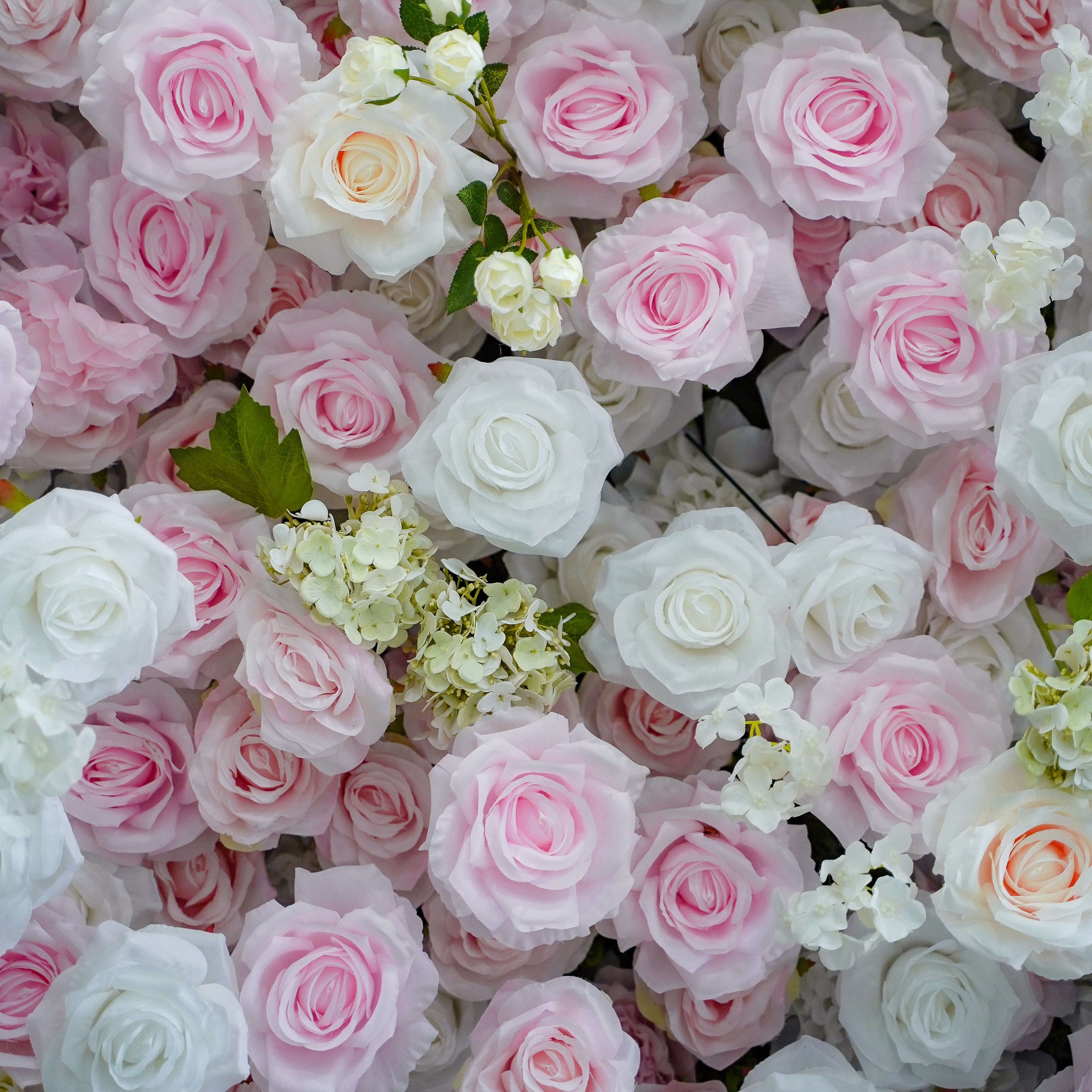 Leona:5D Fabric Artificial rolling up curtain flower wall Rose Morning