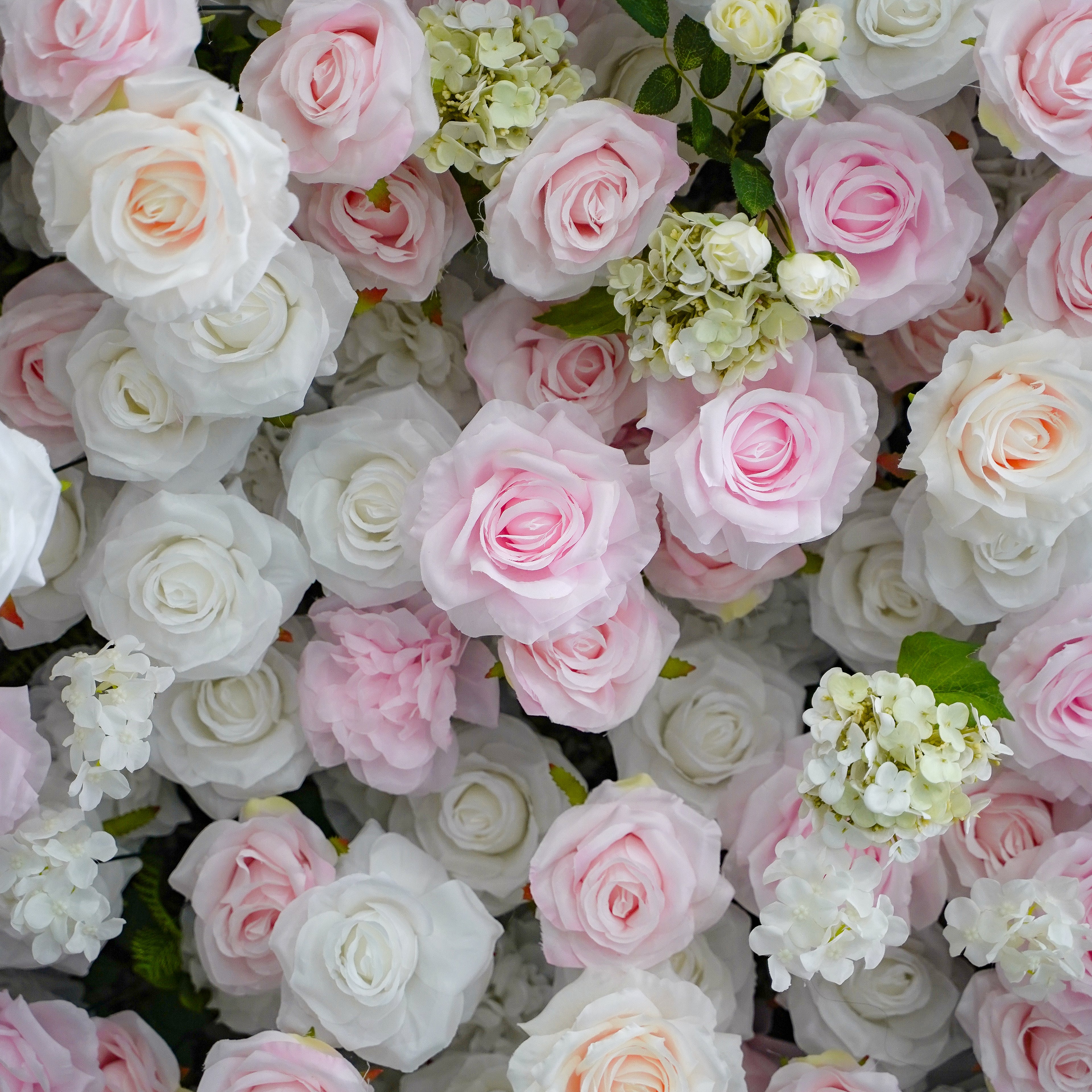 Leona:5D Fabric Artificial rolling up curtain flower wall Rose Morning
