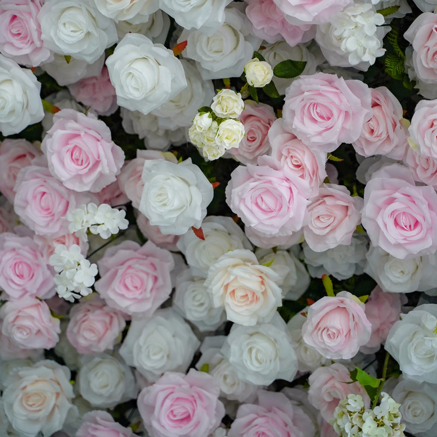 Leona:5D Fabric Artificial rolling up curtain flower wall Rose Morning