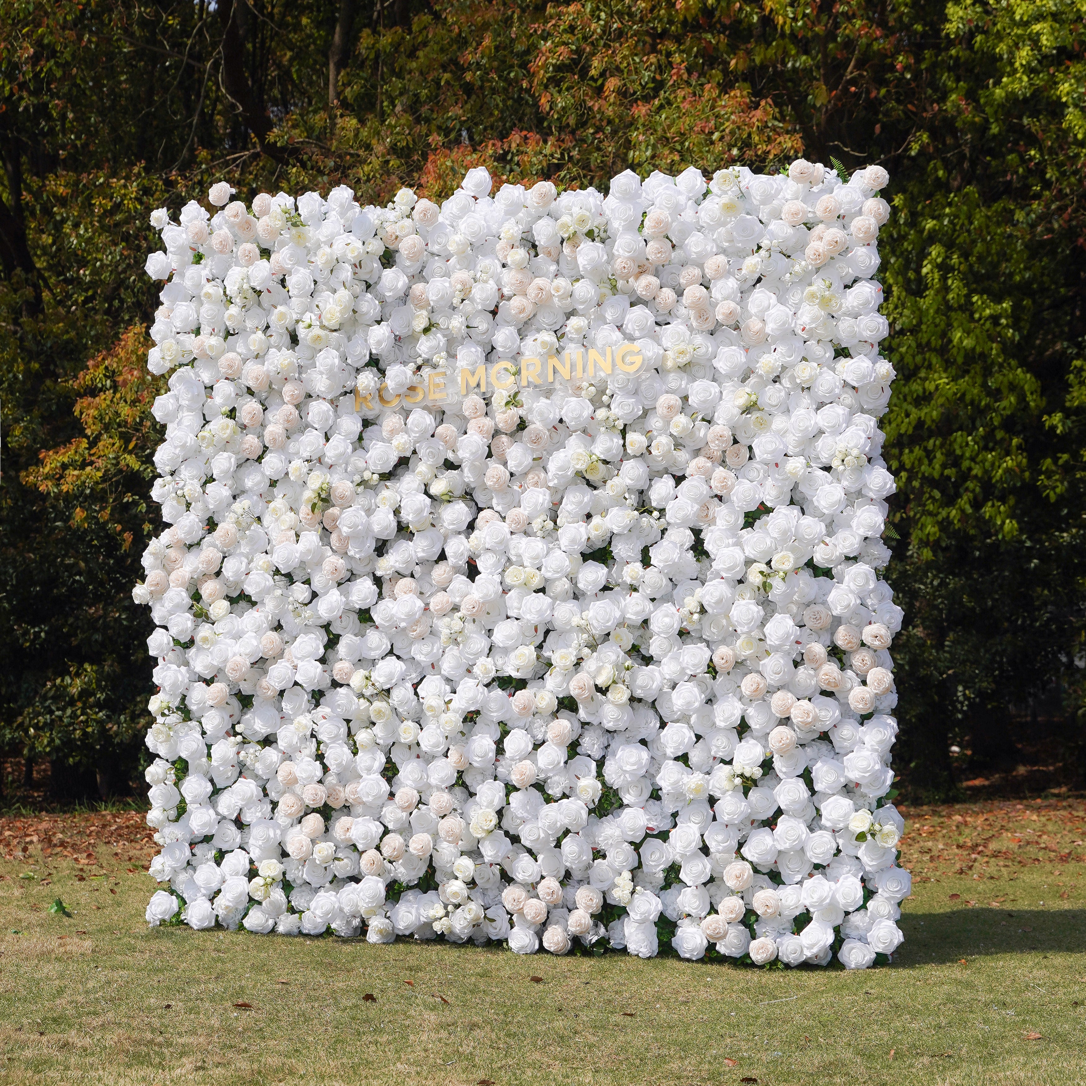 BenBen:5D Fabric Artificial rolling up curtain flower wall Rose Morning