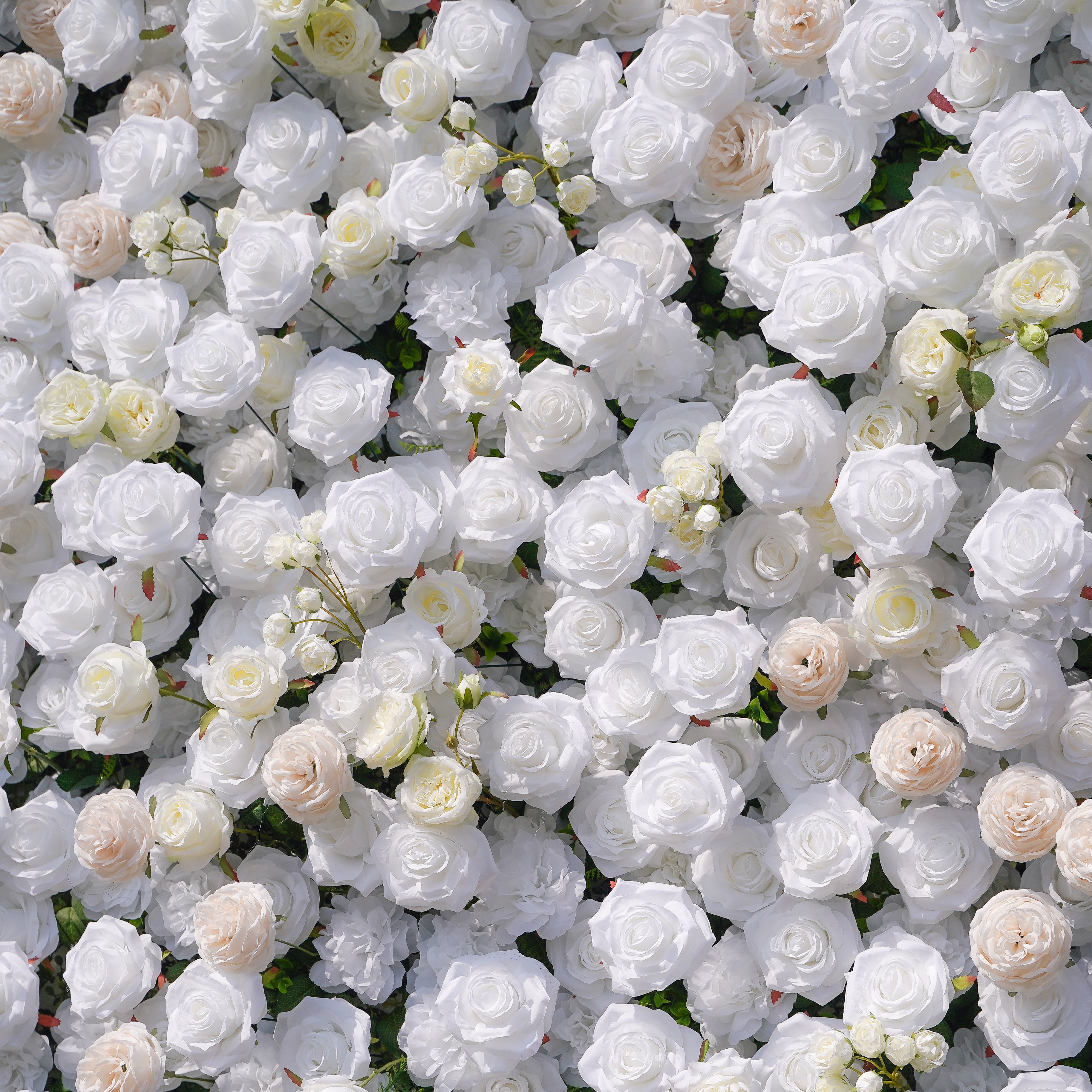 BenBen:5D Fabric Artificial rolling up curtain flower wall Rose Morning