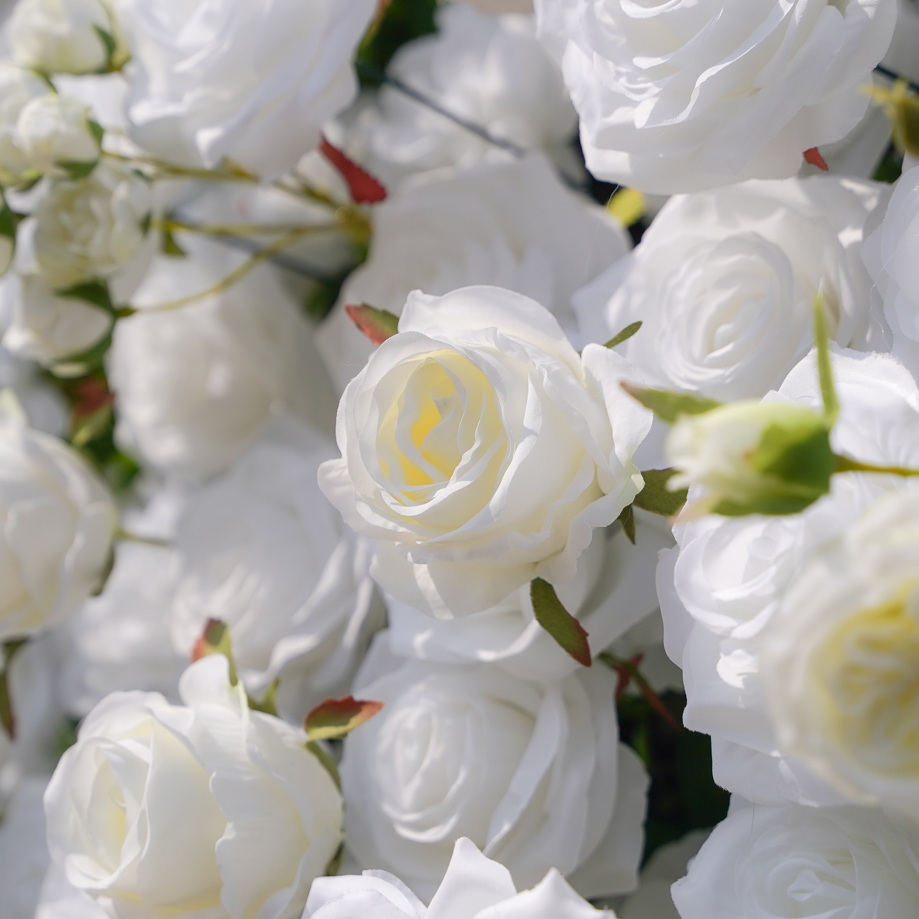 BenBen:5D Fabric Artificial rolling up curtain flower wall Rose Morning