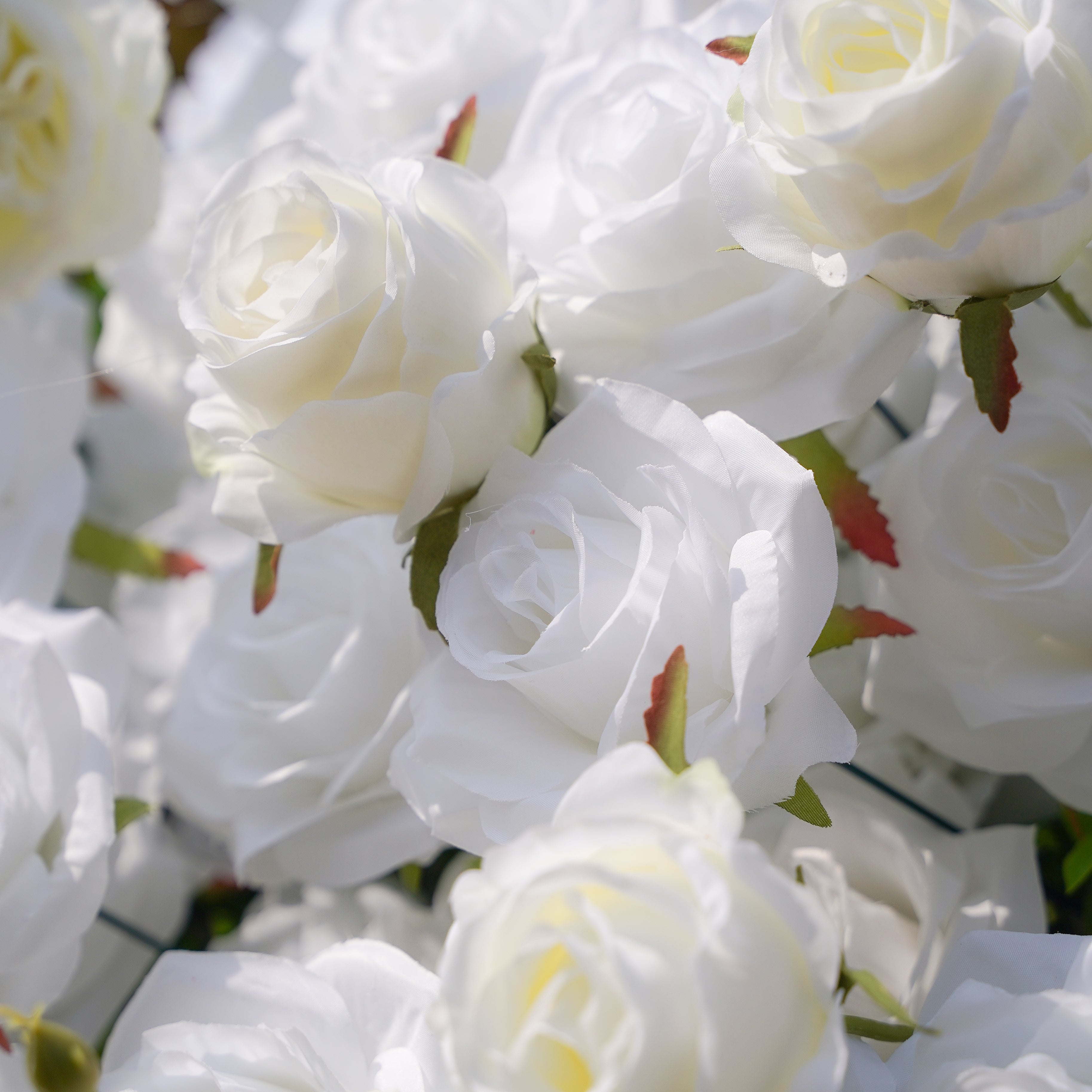 BenBen:5D Fabric Artificial rolling up curtain flower wall Rose Morning