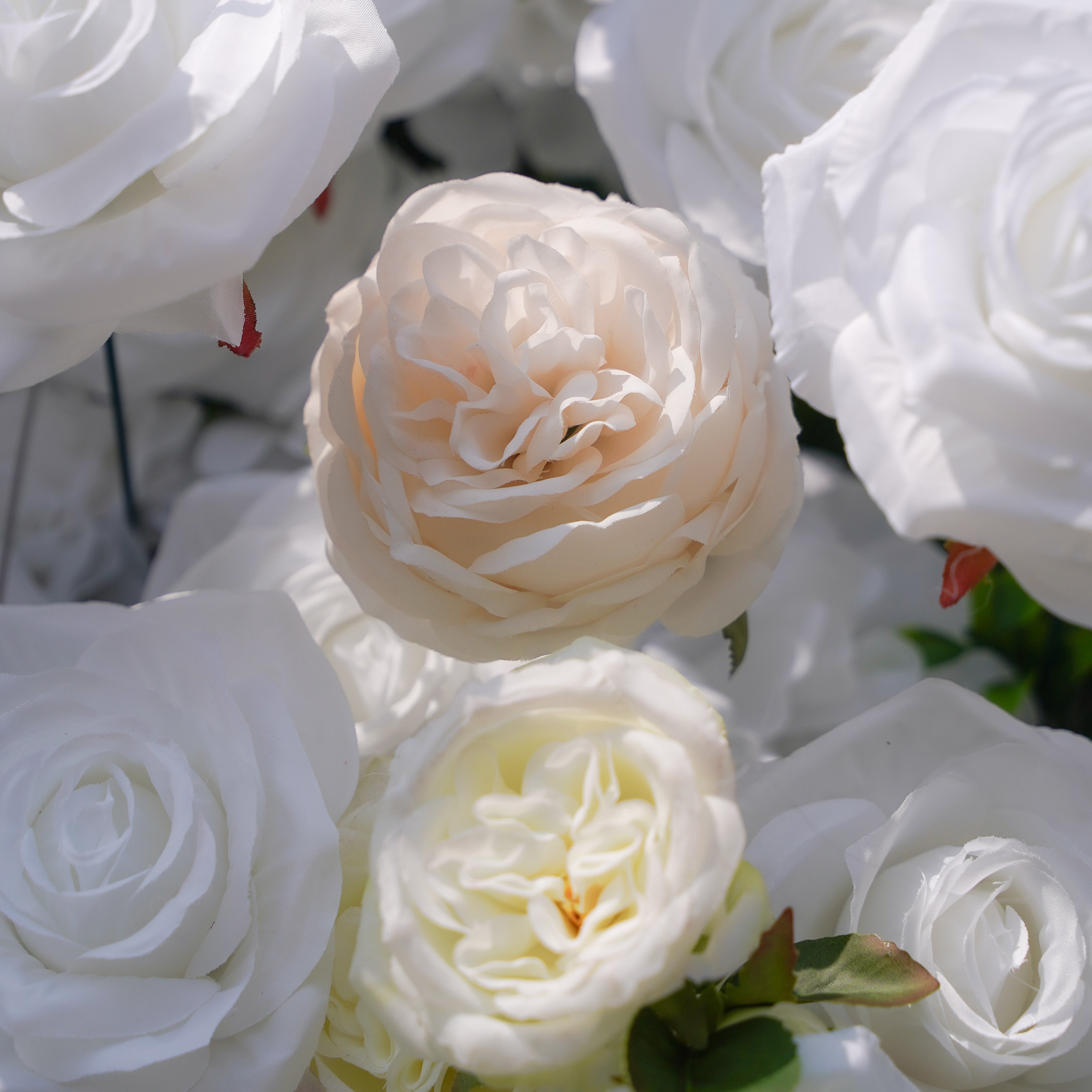 BenBen:5D Fabric Artificial rolling up curtain flower wall Rose Morning