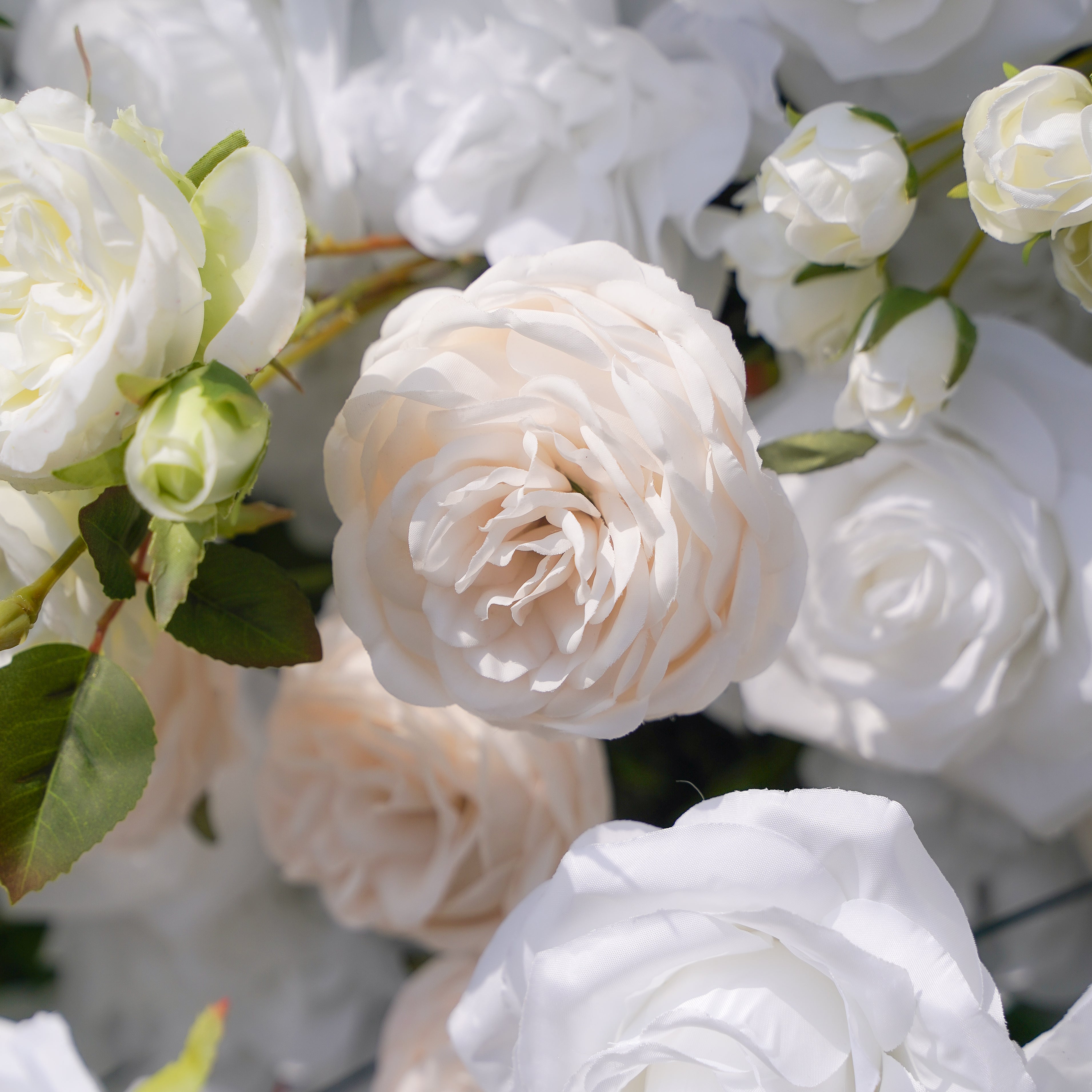 BenBen:5D Fabric Artificial rolling up curtain flower wall Rose Morning