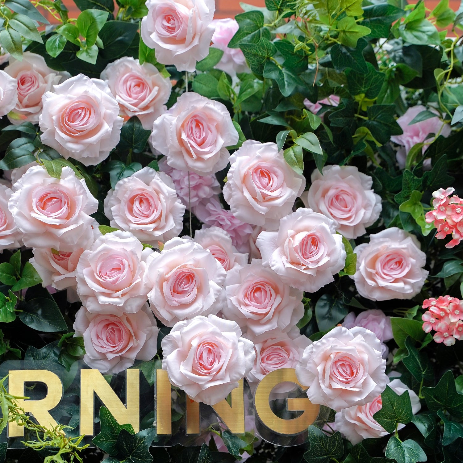 Vonnie:5D Fabric Artificial rolling up curtain flower wall Rose Morning