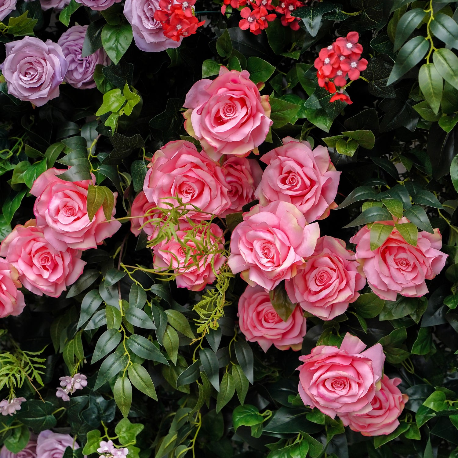 Vonnie:5D Fabric Artificial rolling up curtain flower wall Rose Morning