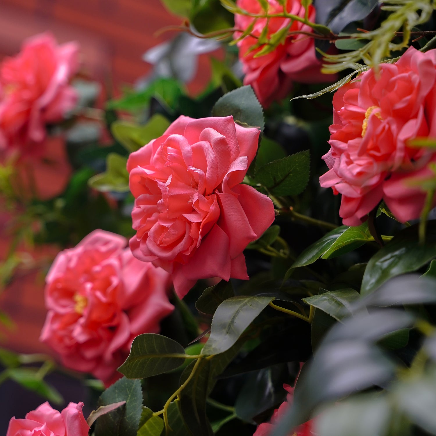 Vonnie:5D Fabric Artificial rolling up curtain flower wall Rose Morning