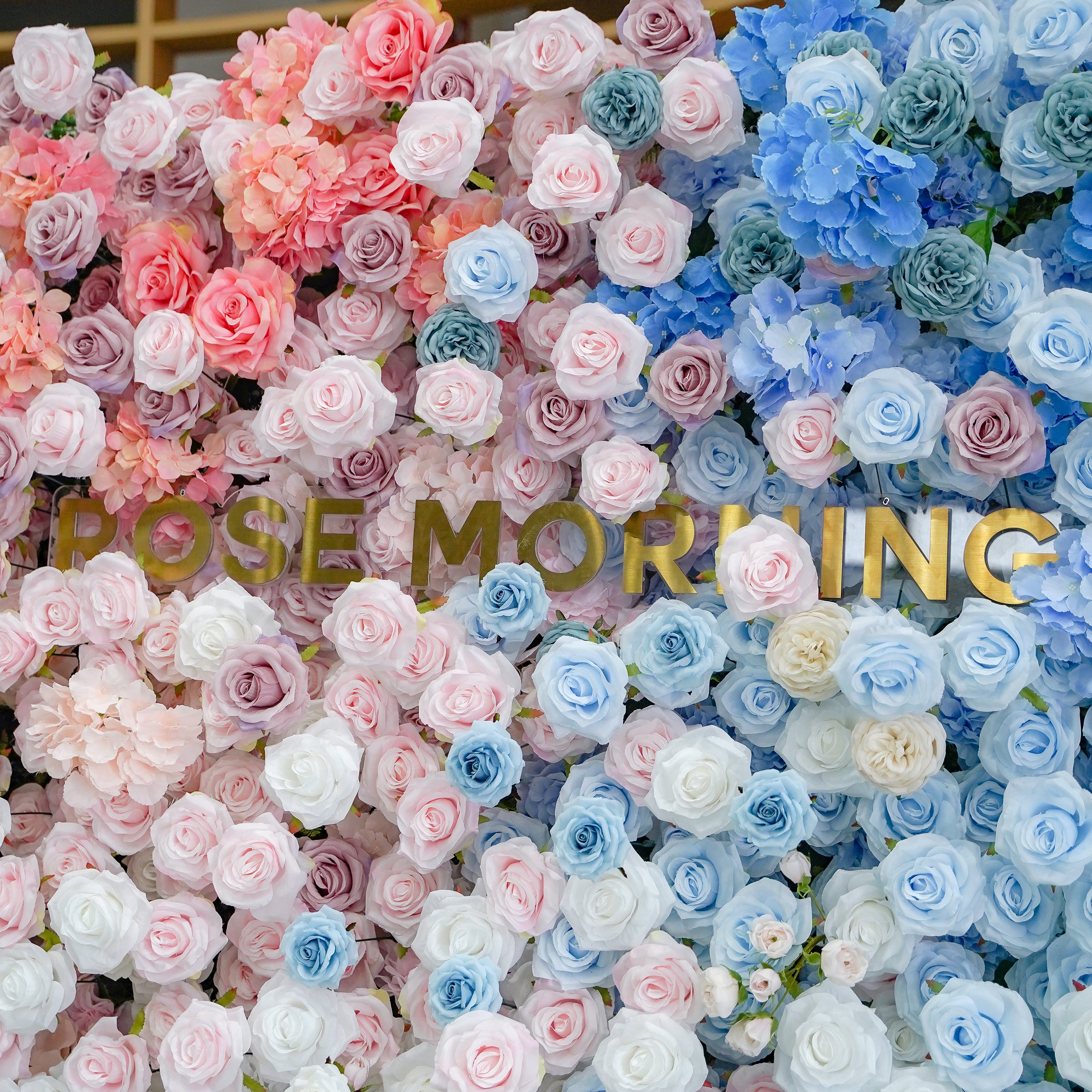 Mancina:Gender Review 5D Fabric Artificial rolling up curtain flower wall Rose Morning