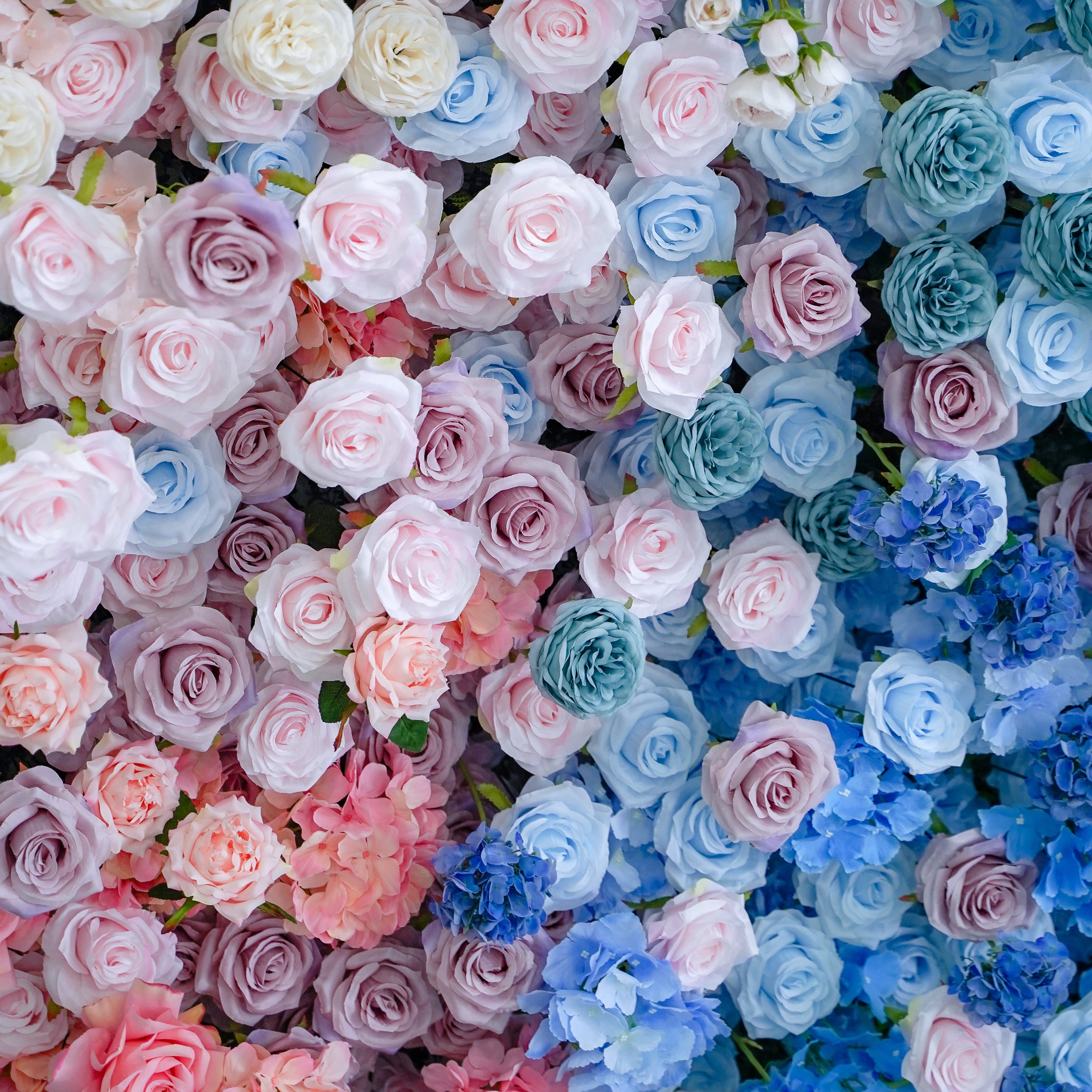 Mancina:Gender Review 5D Fabric Artificial rolling up curtain flower wall Rose Morning