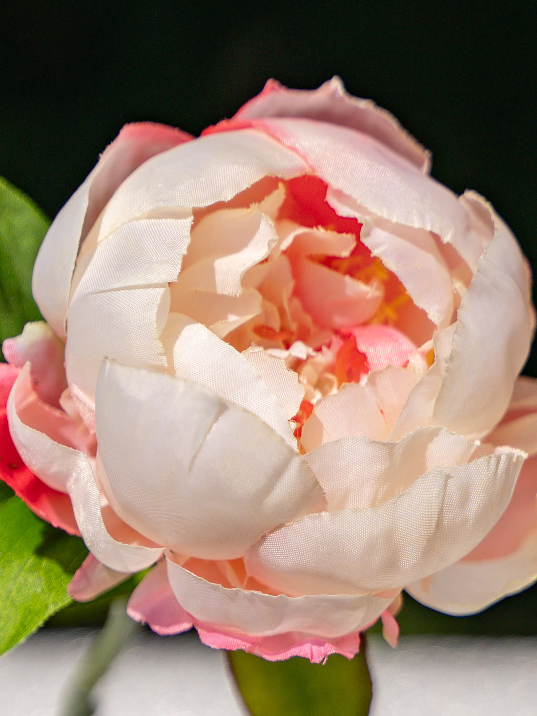 Peony (Gradient Pink)-9.8" Tall