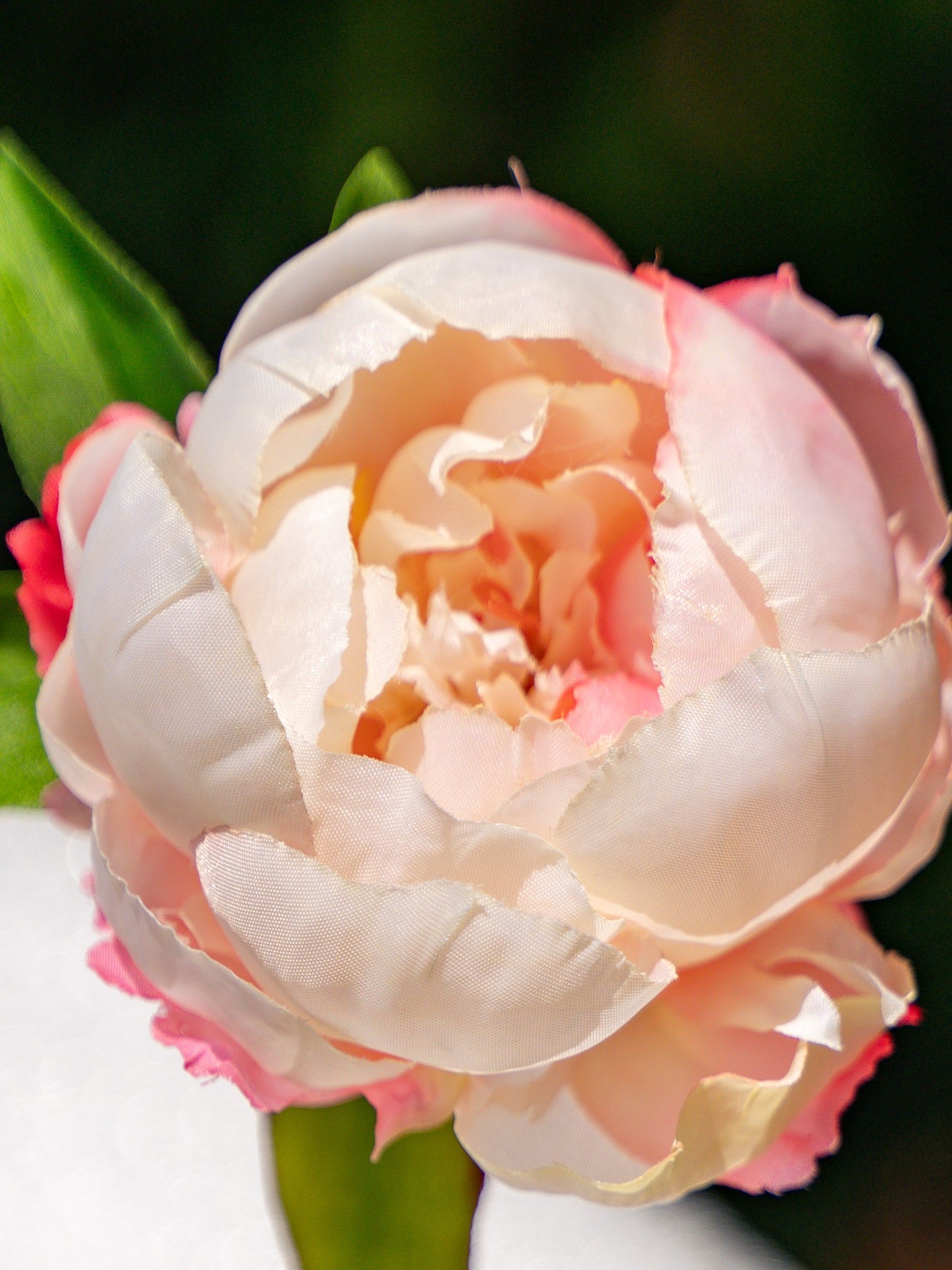 Peony (Gradient Pink)-9.8" Tall