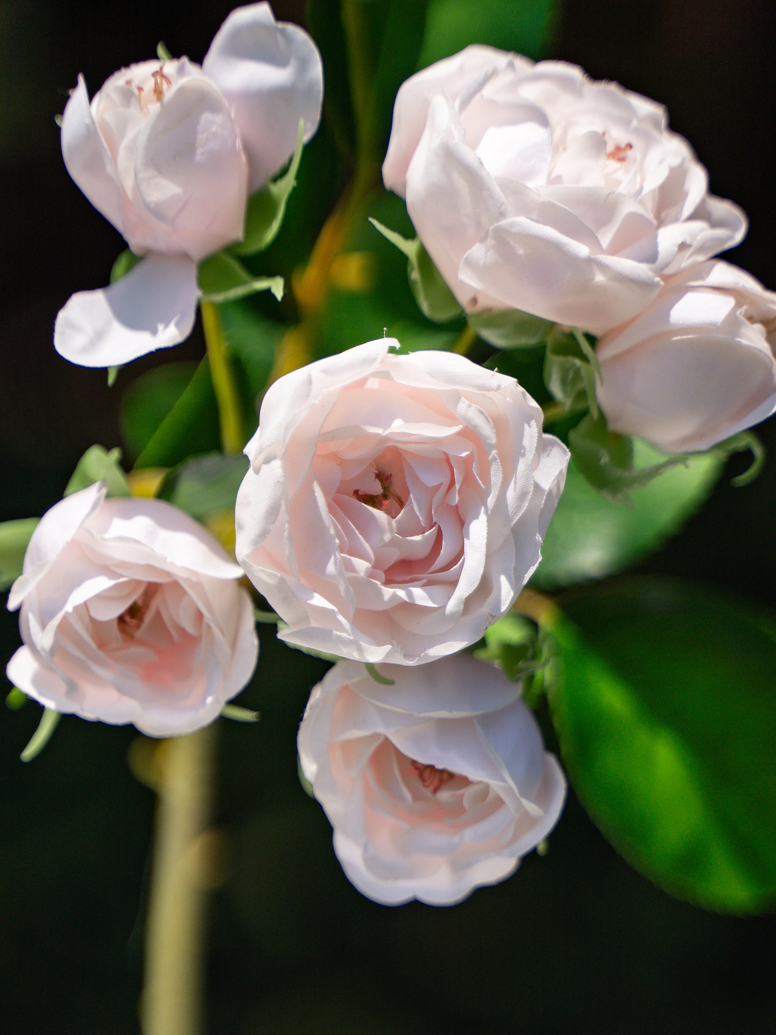 7-headed Spray Rose (Pink)-11.8" Tall