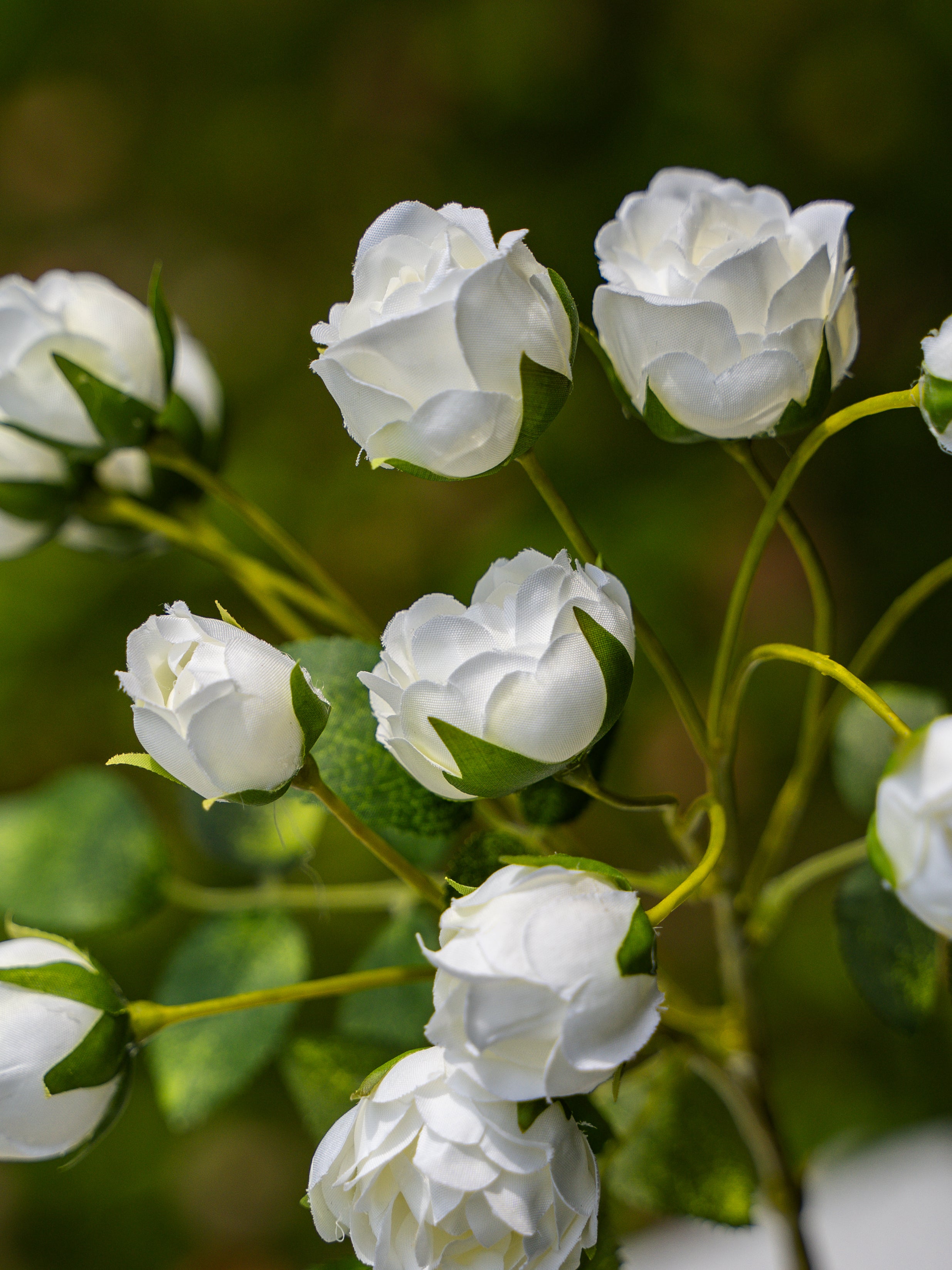 13-headed Spray Rose (White)-22" Tall