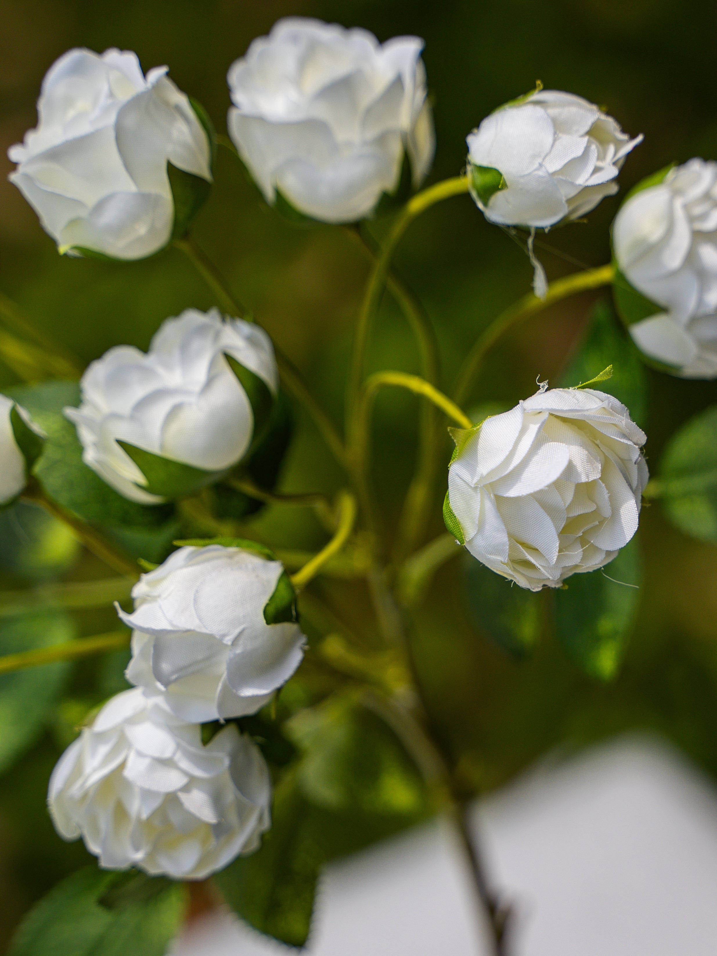 13-headed Spray Rose (White)-22" Tall