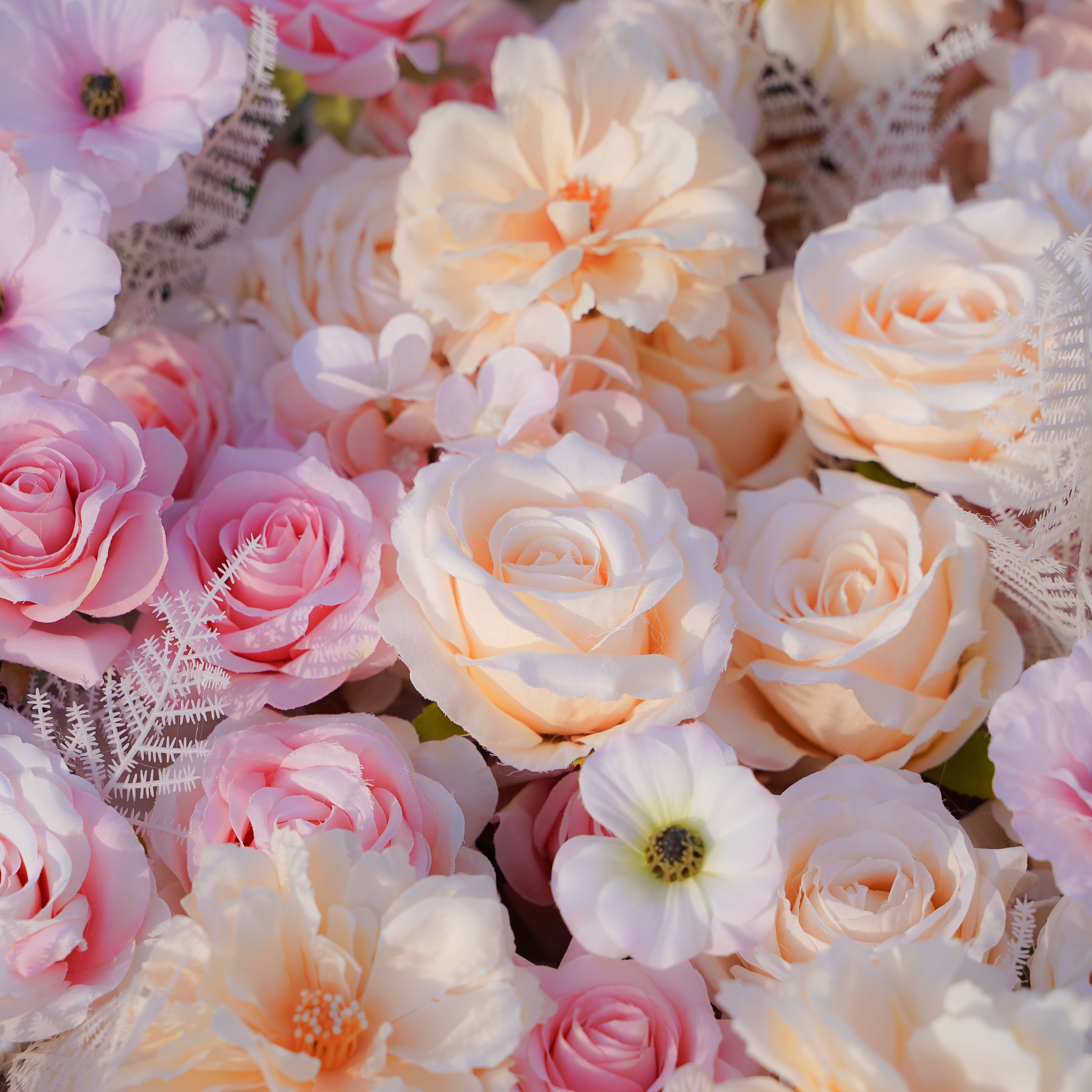This is a photo of a rose morning danilia wall. The flower wall is made of 5D fabric, hand rolled and measures 8ft x 8ft. The flower wall is composed of bright roses, creating a romantic and elegant atmosphere. The flower wall is suitable for various occasions, such as weddings, parties, birthday parties, etc. It is also perfect for decorating your home.