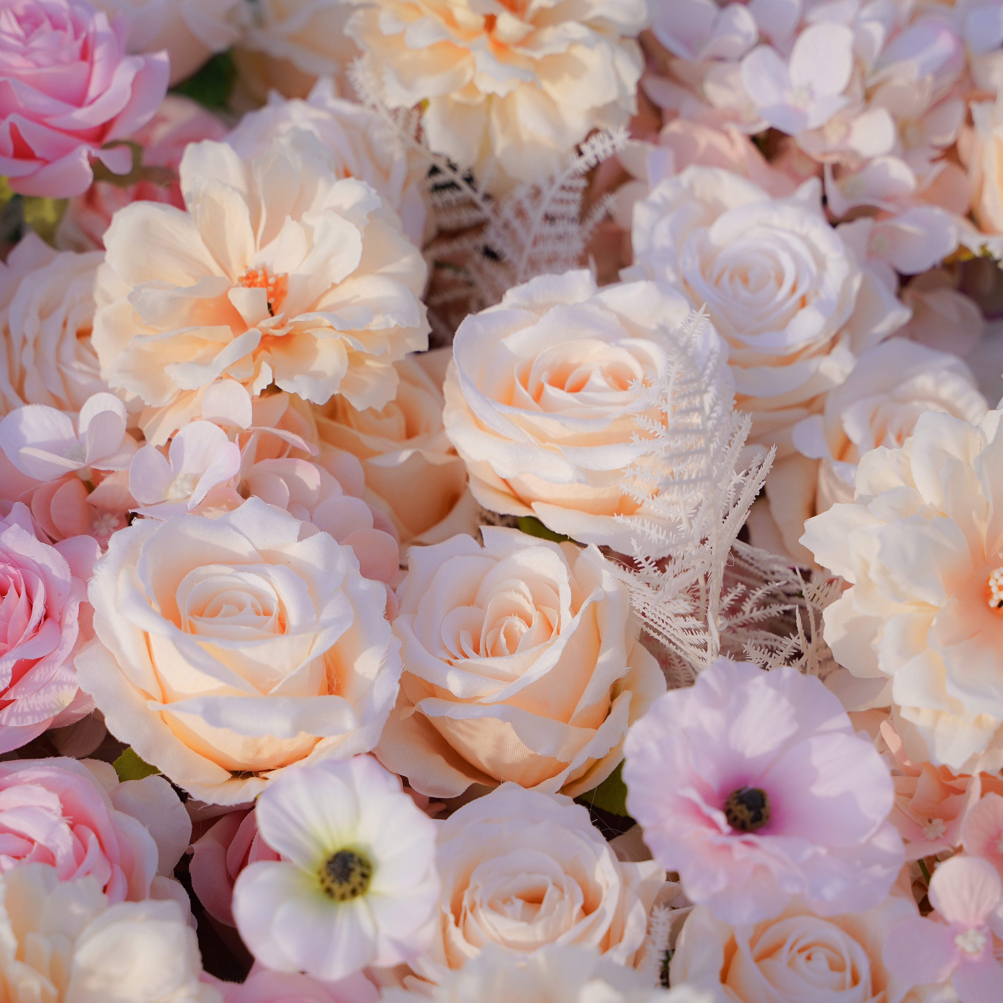 This is a photo of a rose morning danilia wall. The flower wall is made of 5D fabric, hand rolled and measures 8ft x 8ft. The flower wall is composed of bright roses, creating a romantic and elegant atmosphere. The flower wall is suitable for various occasions, such as weddings, parties, birthday parties, etc. It is also perfect for decorating your home.